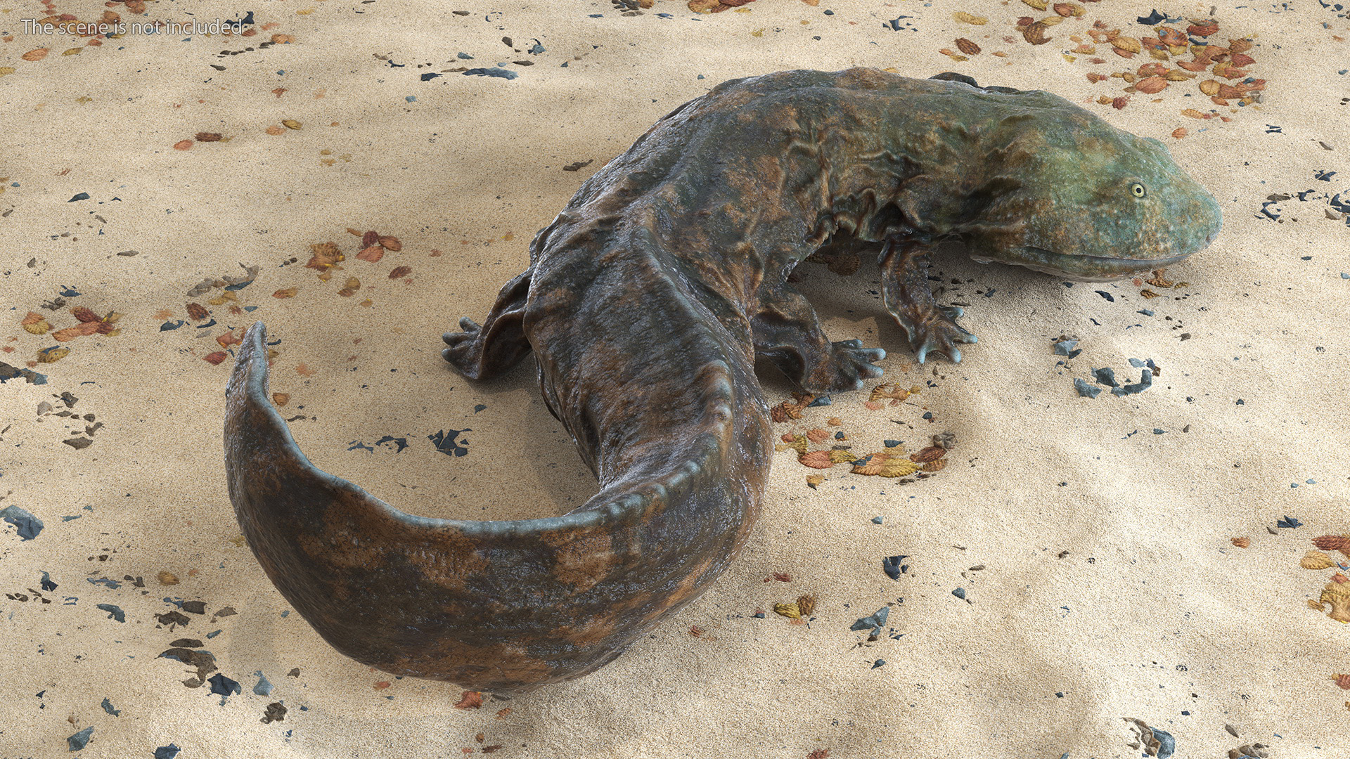 Andrias Davidianus Light Wet Lying 3D model