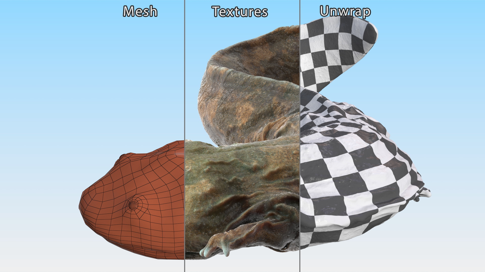 Andrias Davidianus Light Wet Lying 3D model