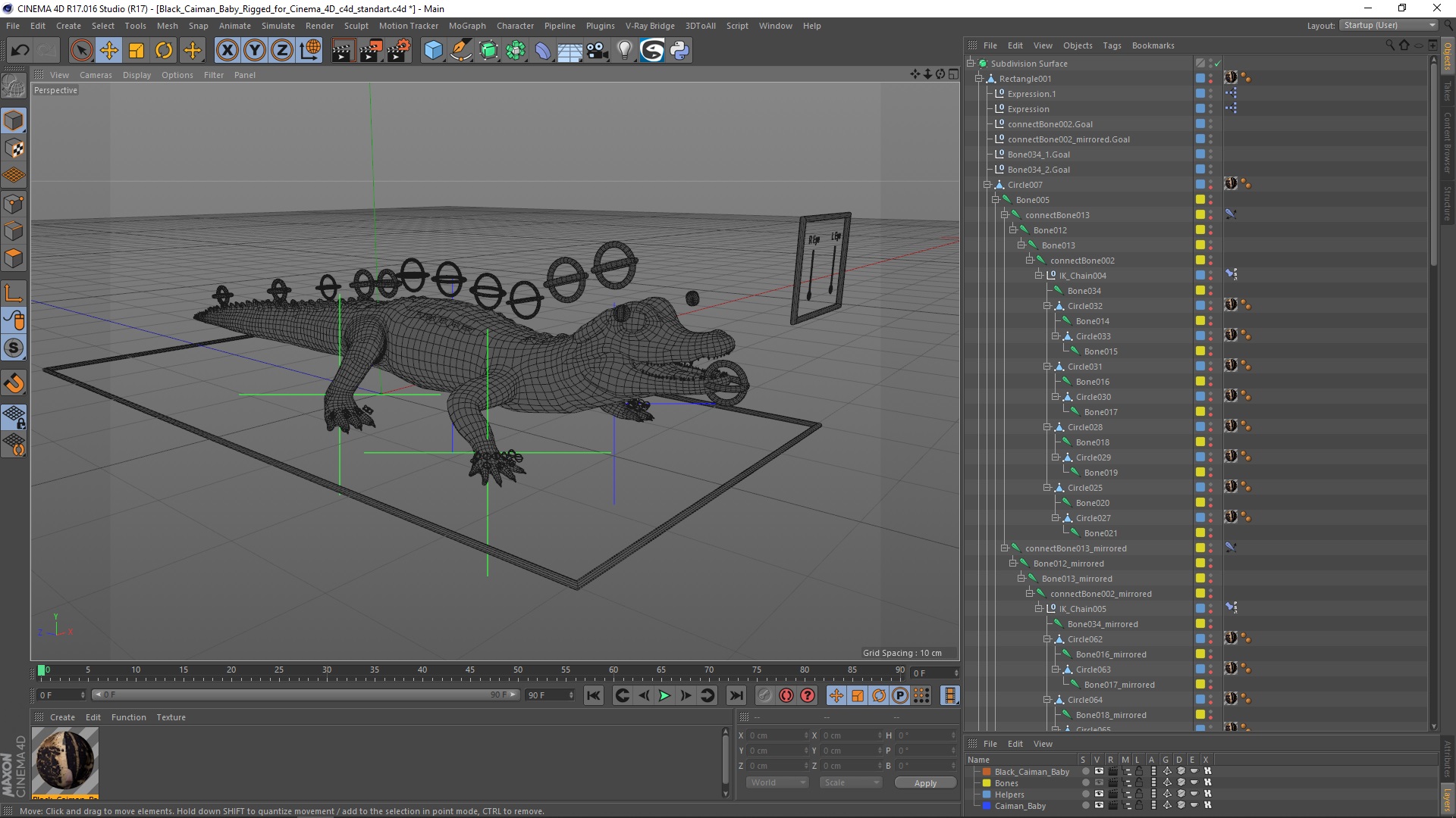 3D Black Caiman Baby Rigged for Cinema 4D model