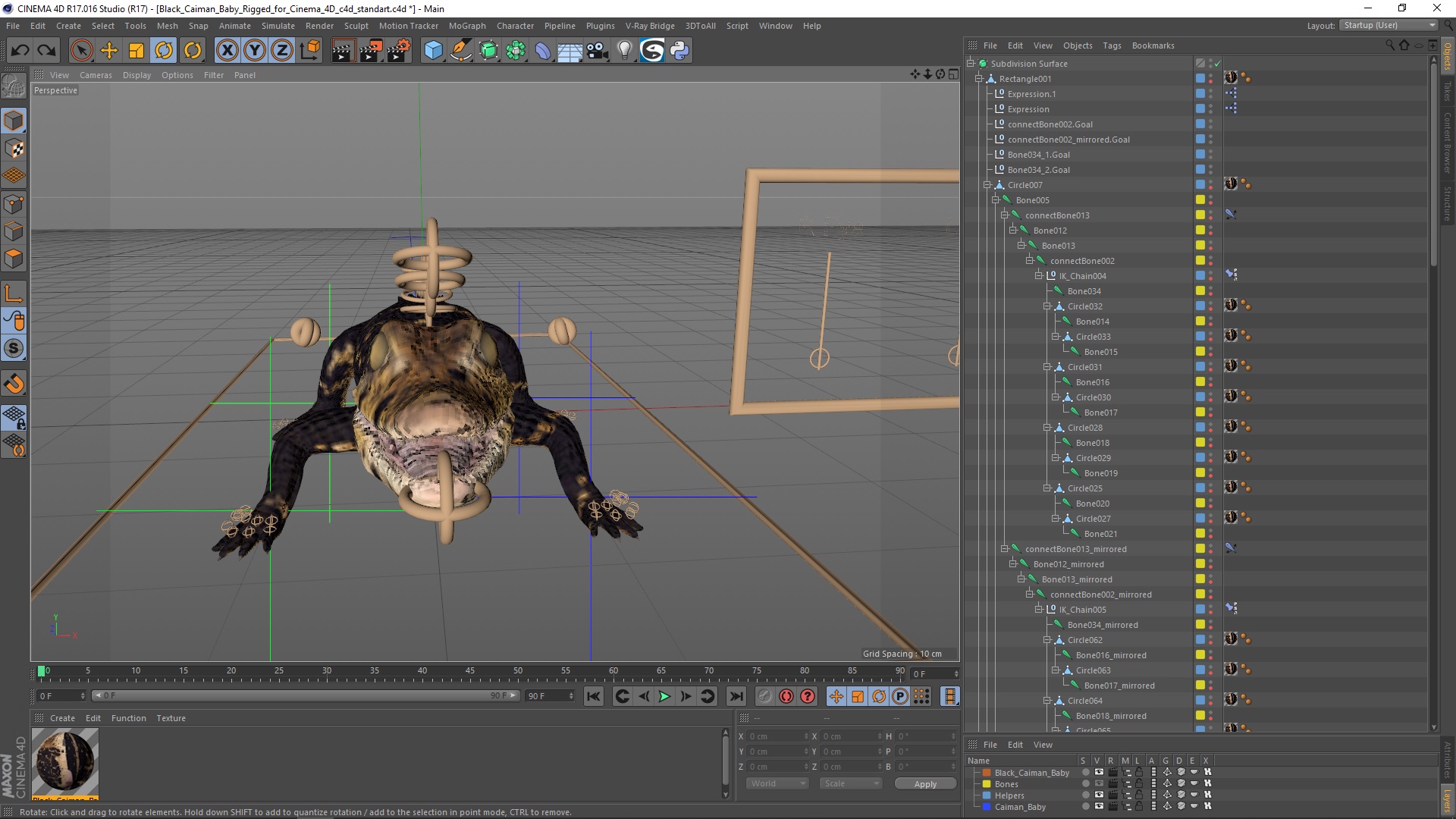 3D Black Caiman Baby Rigged for Cinema 4D model