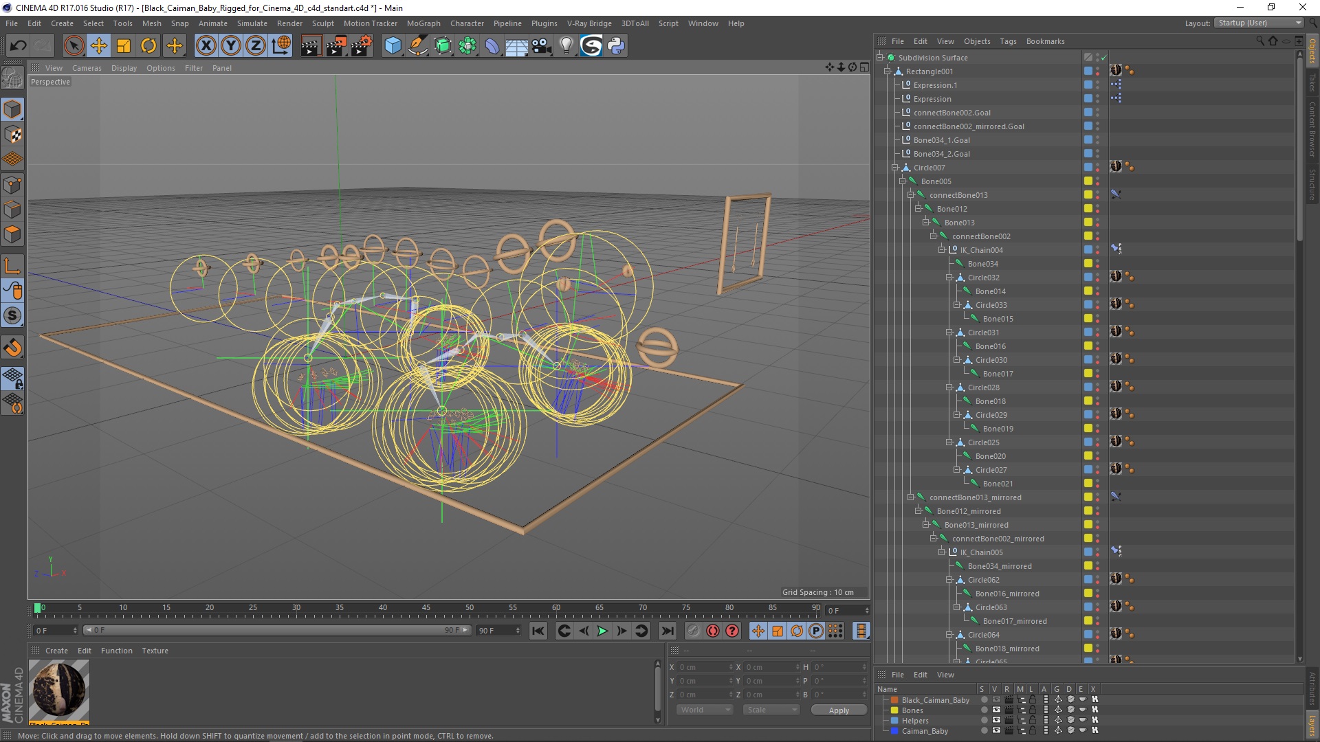 3D Black Caiman Baby Rigged for Cinema 4D model