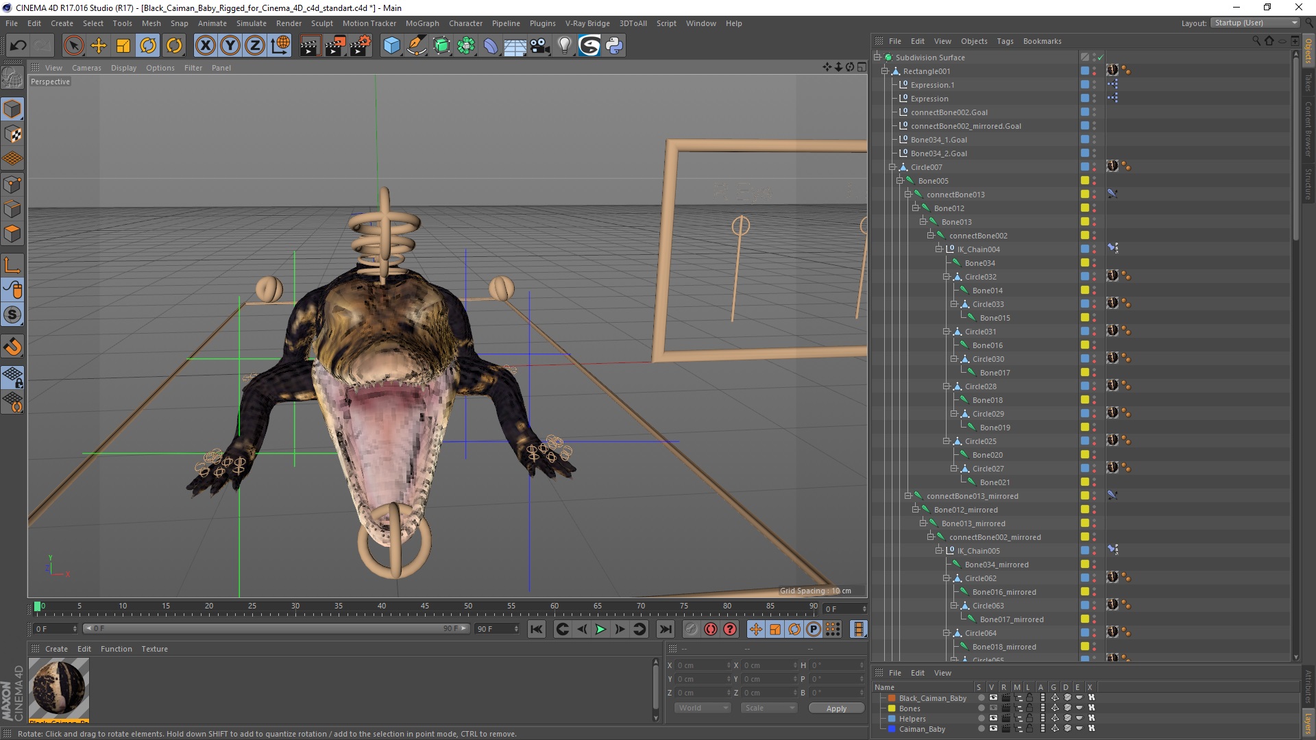 3D Black Caiman Baby Rigged for Cinema 4D model