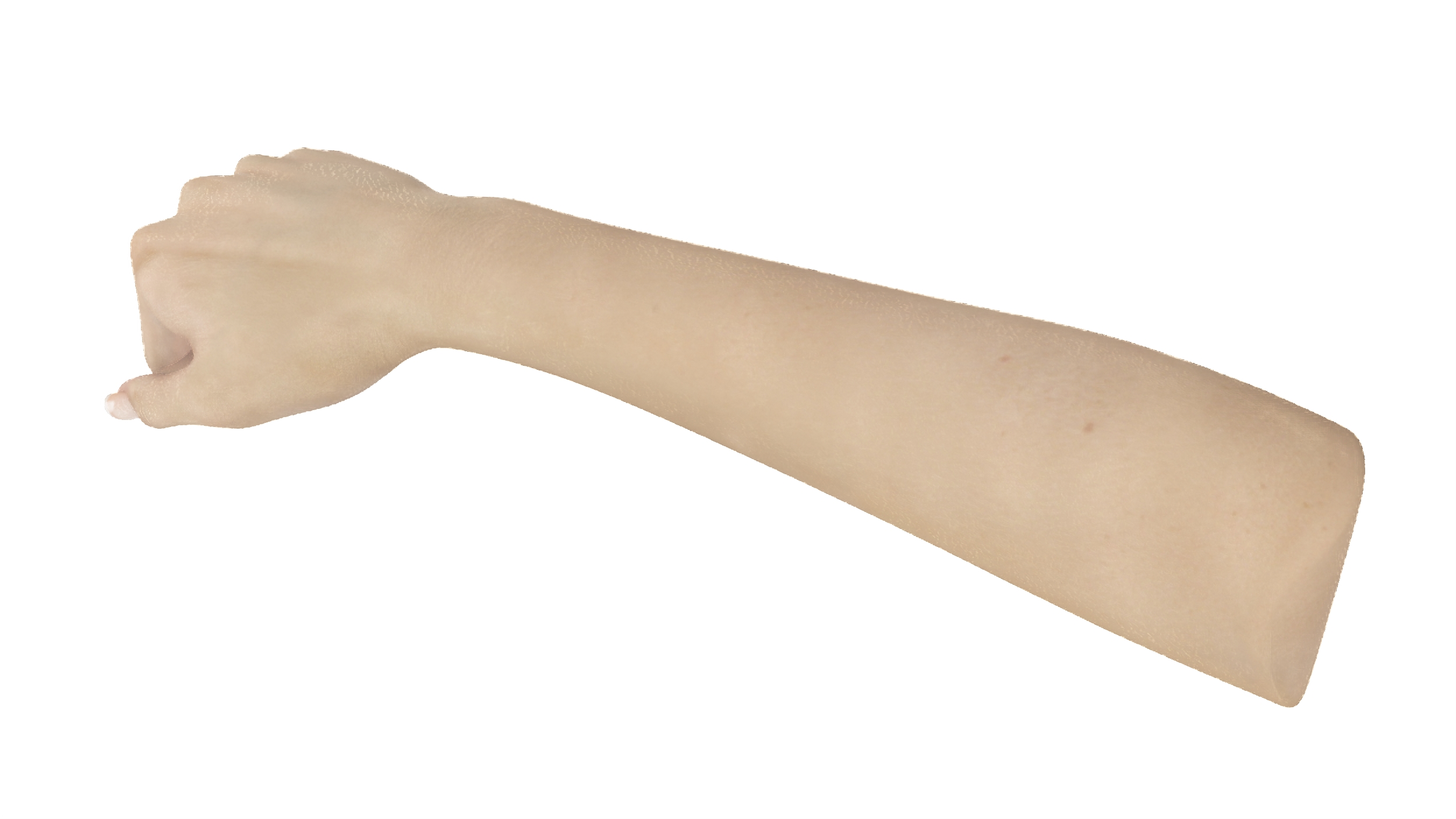 White Skinned Woman Fist 3D model