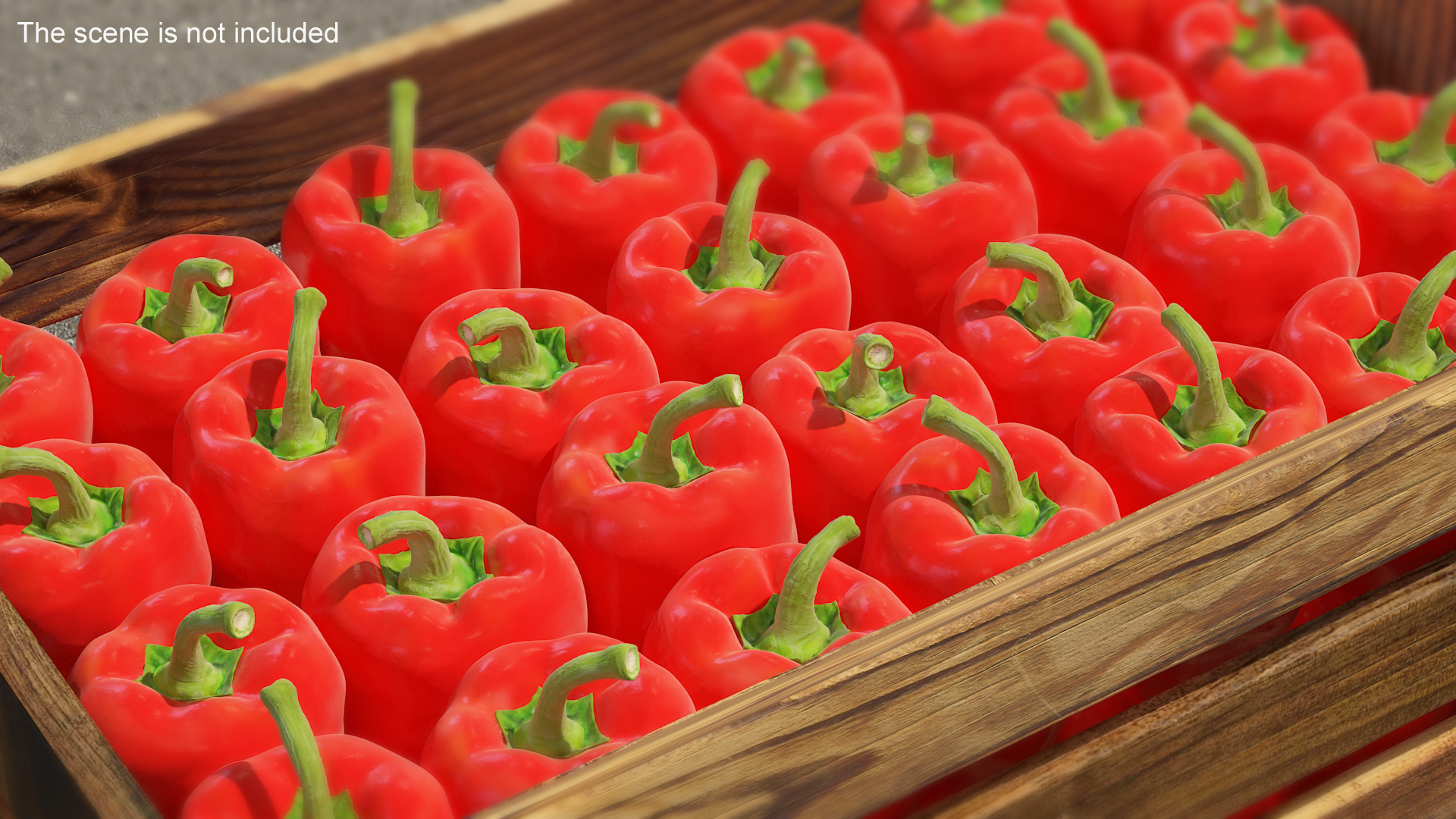 3D model Red Long Pepper