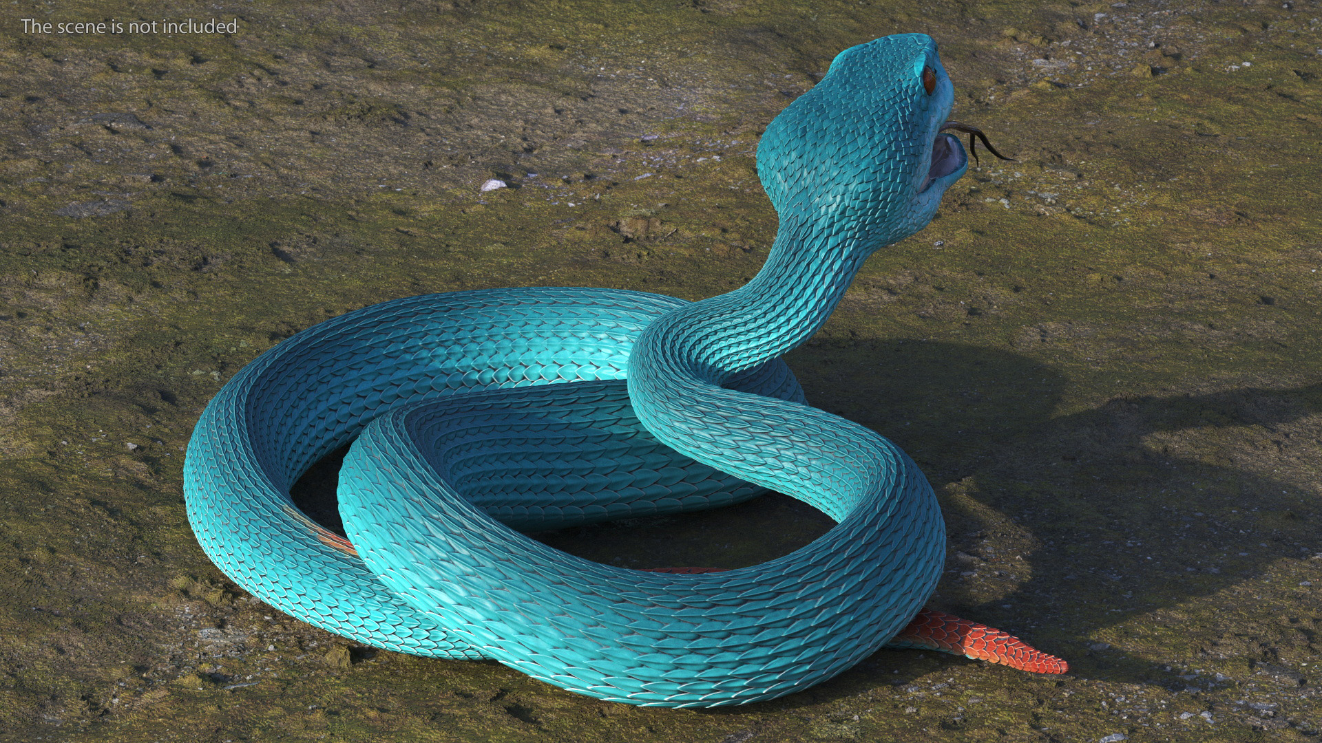 3D Attacking Blue Snake Trimeresurus model