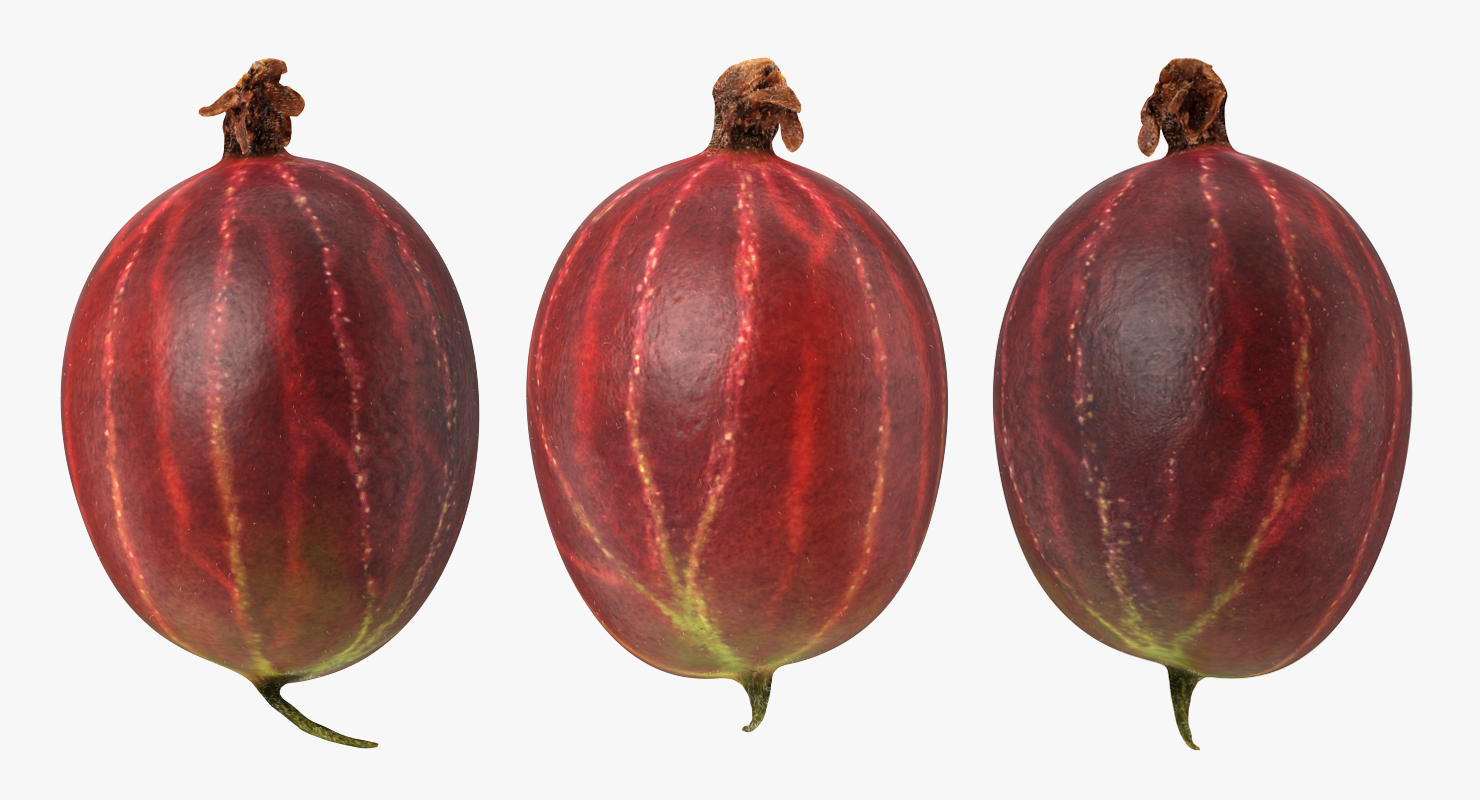 Red Gooseberry 3D model
