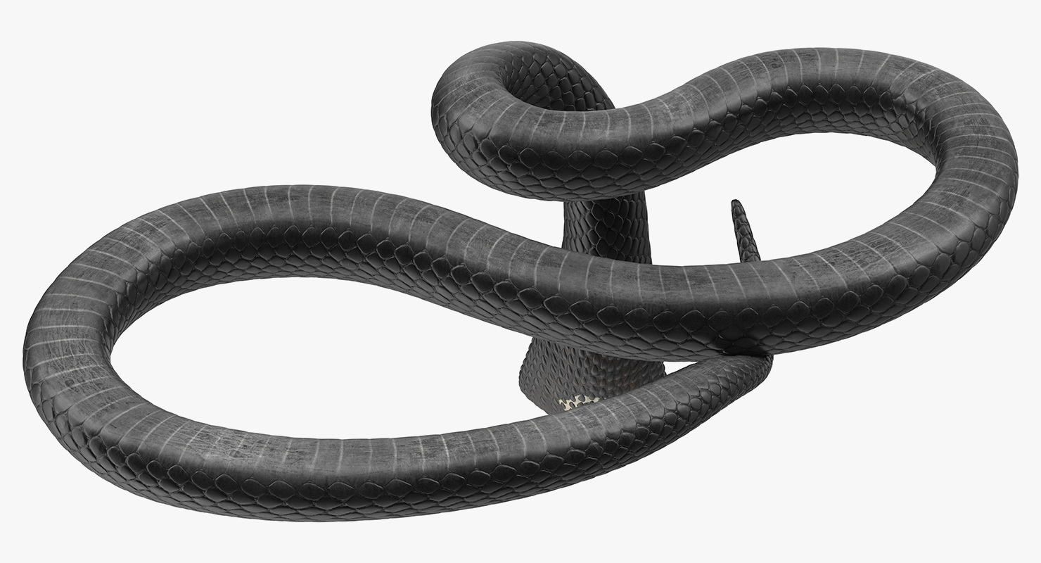 3D Cobra Dark Skin Alert Pose