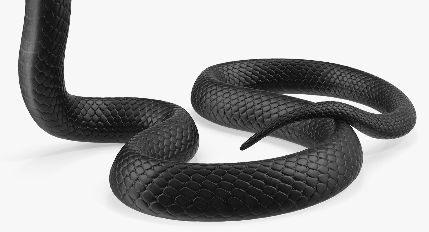 3D Cobra Dark Skin Alert Pose