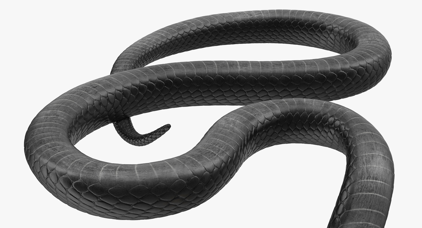 3D Cobra Dark Skin Alert Pose
