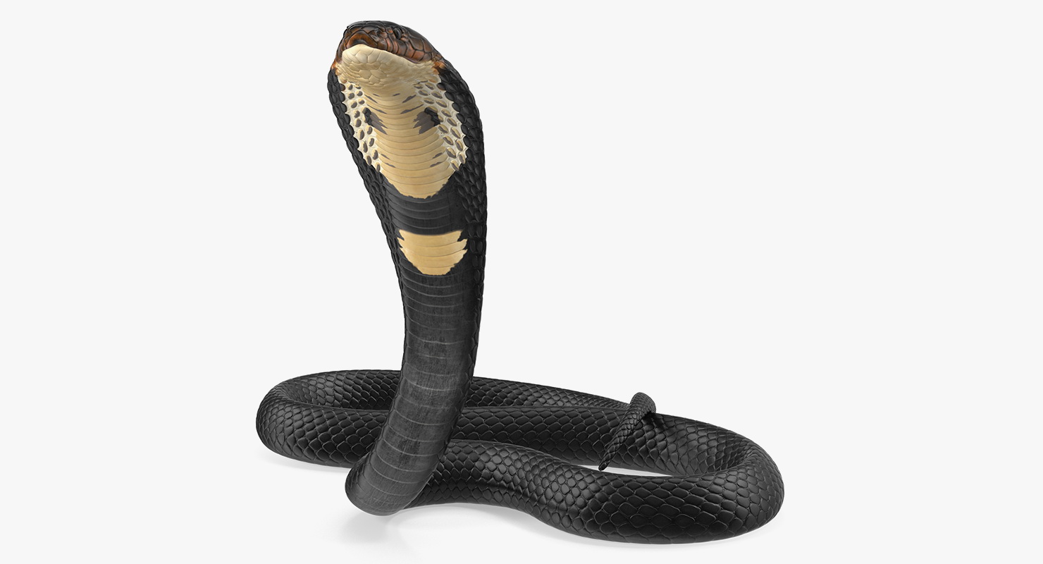 3D Cobra Dark Skin Alert Pose