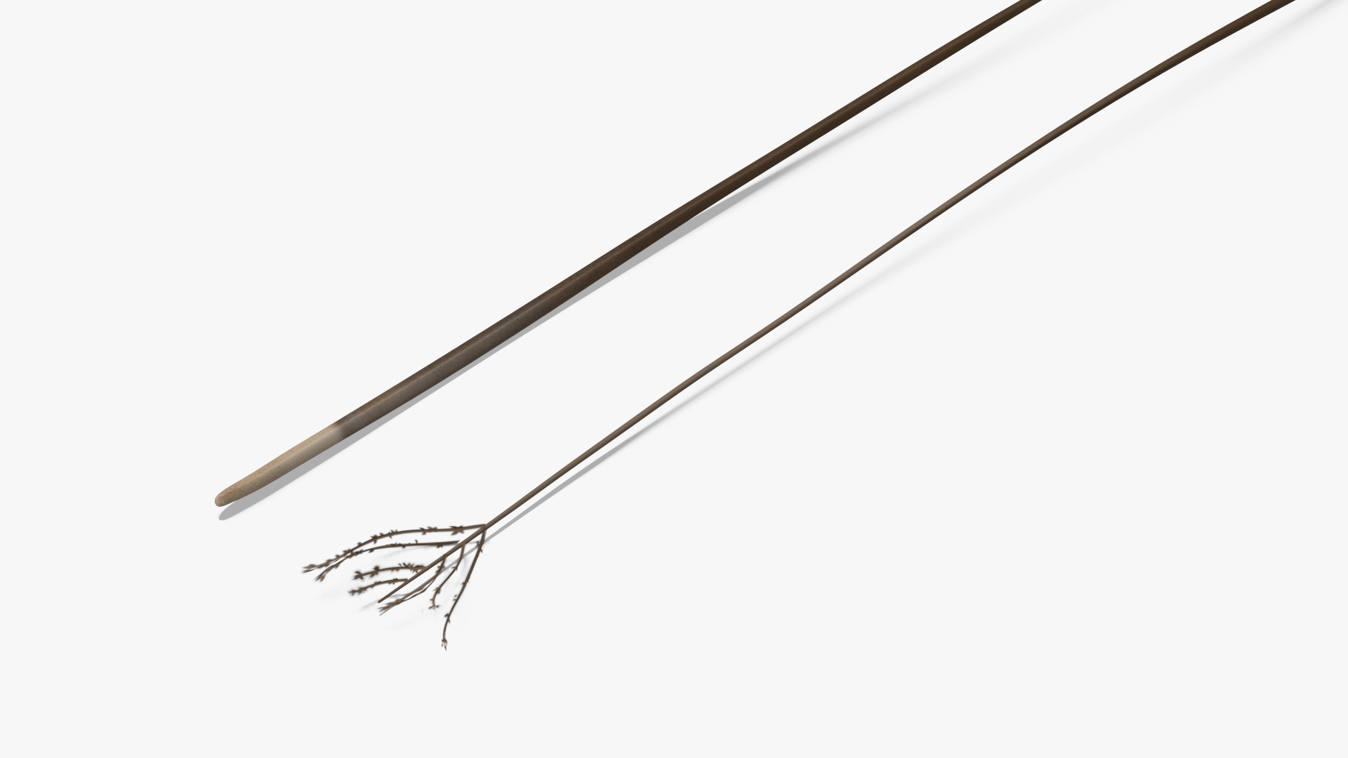 3D Naked Feather model
