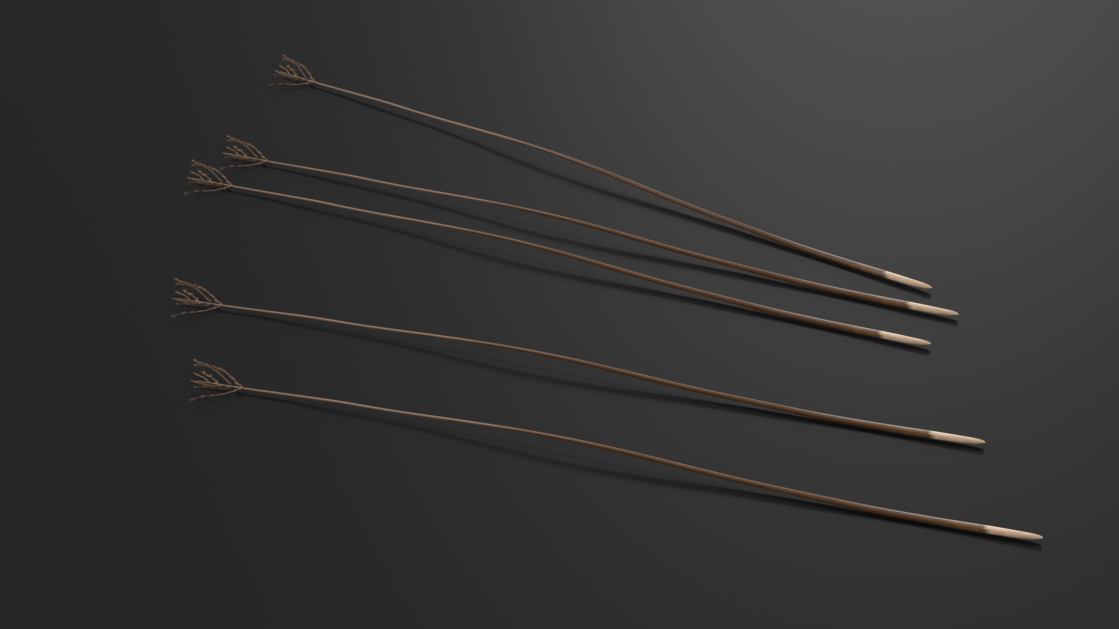3D Naked Feather model