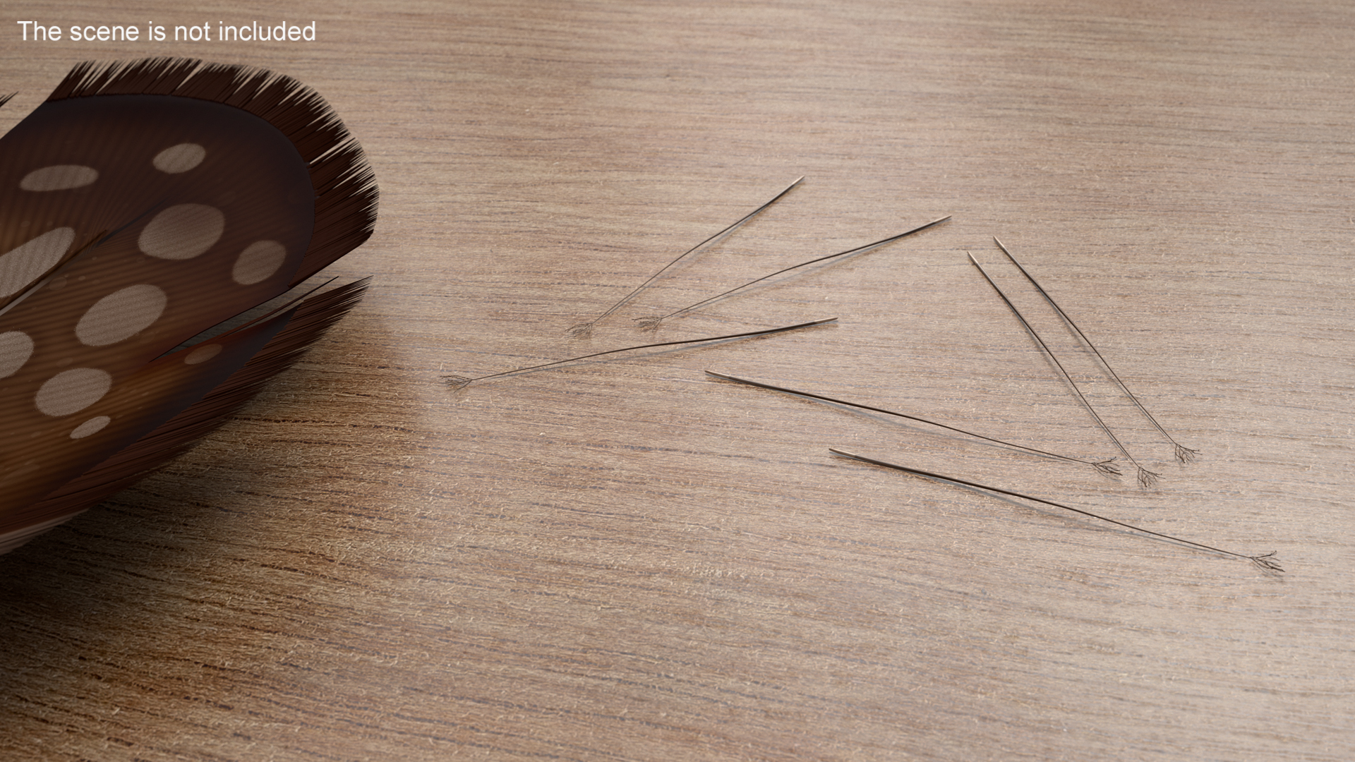 3D Naked Feather model