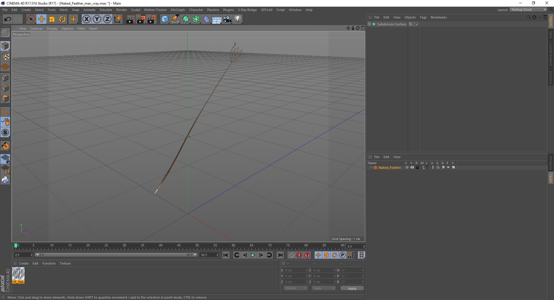 3D Naked Feather model