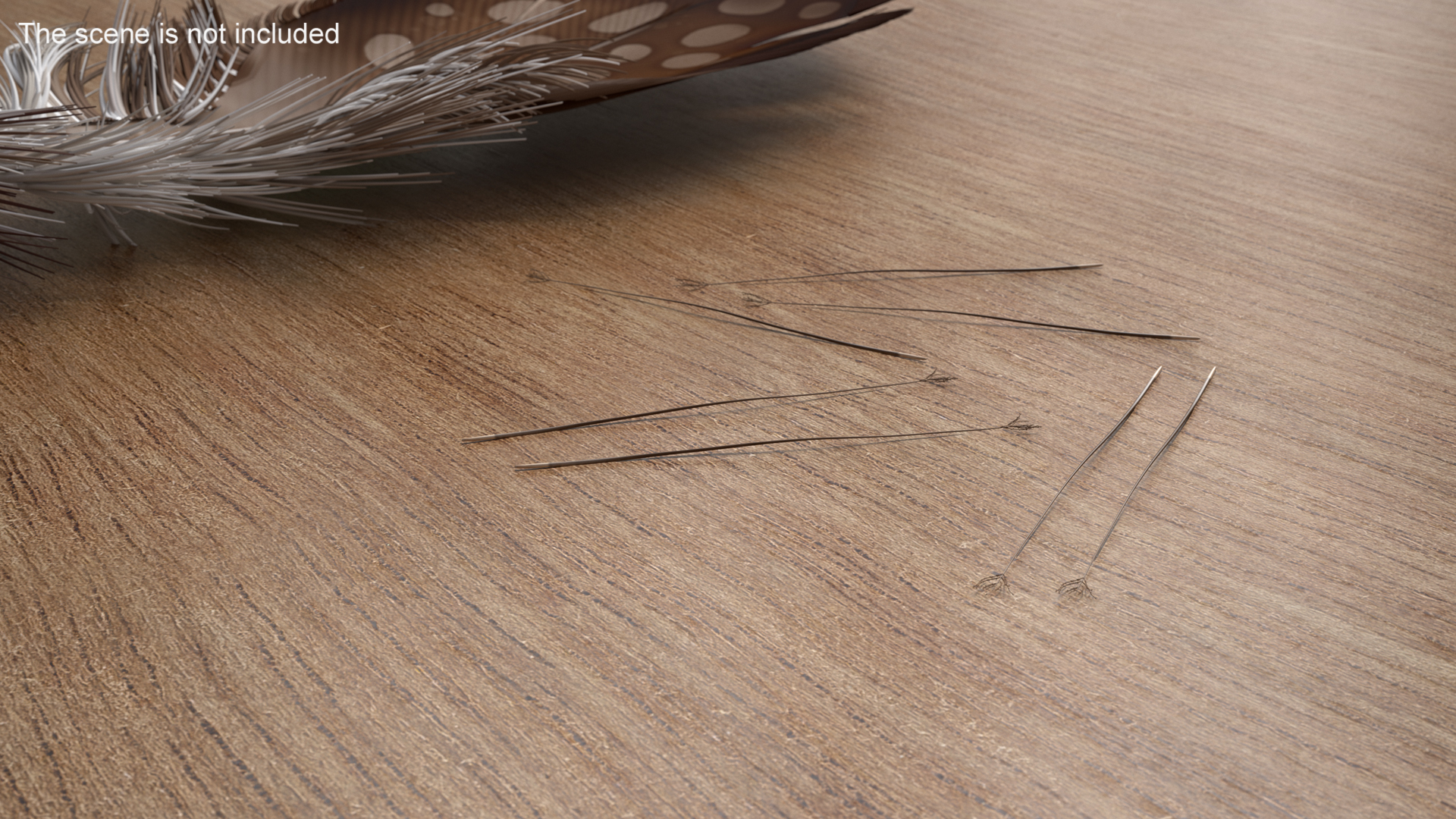 3D Naked Feather model