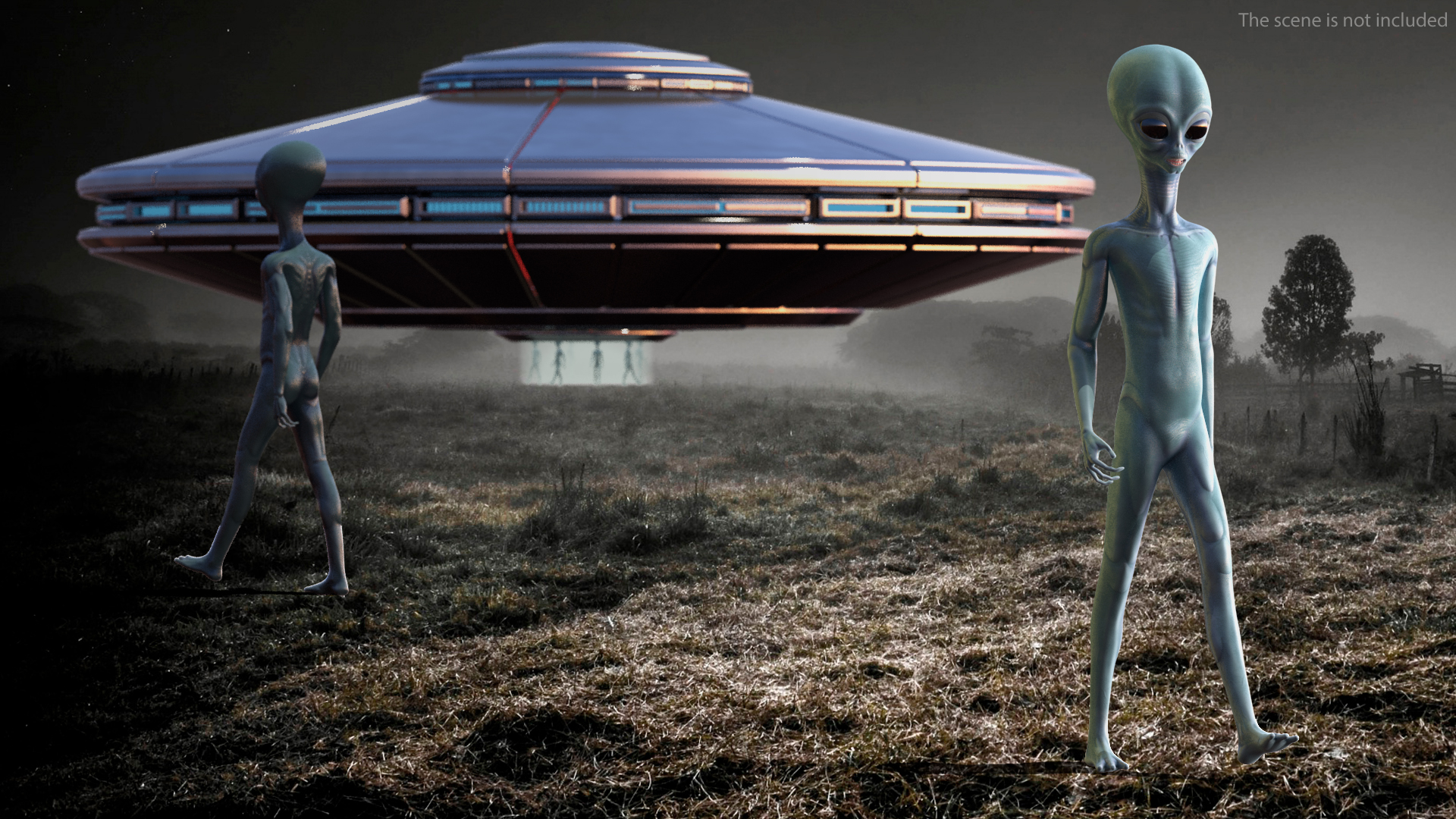 3D Space Alien Head