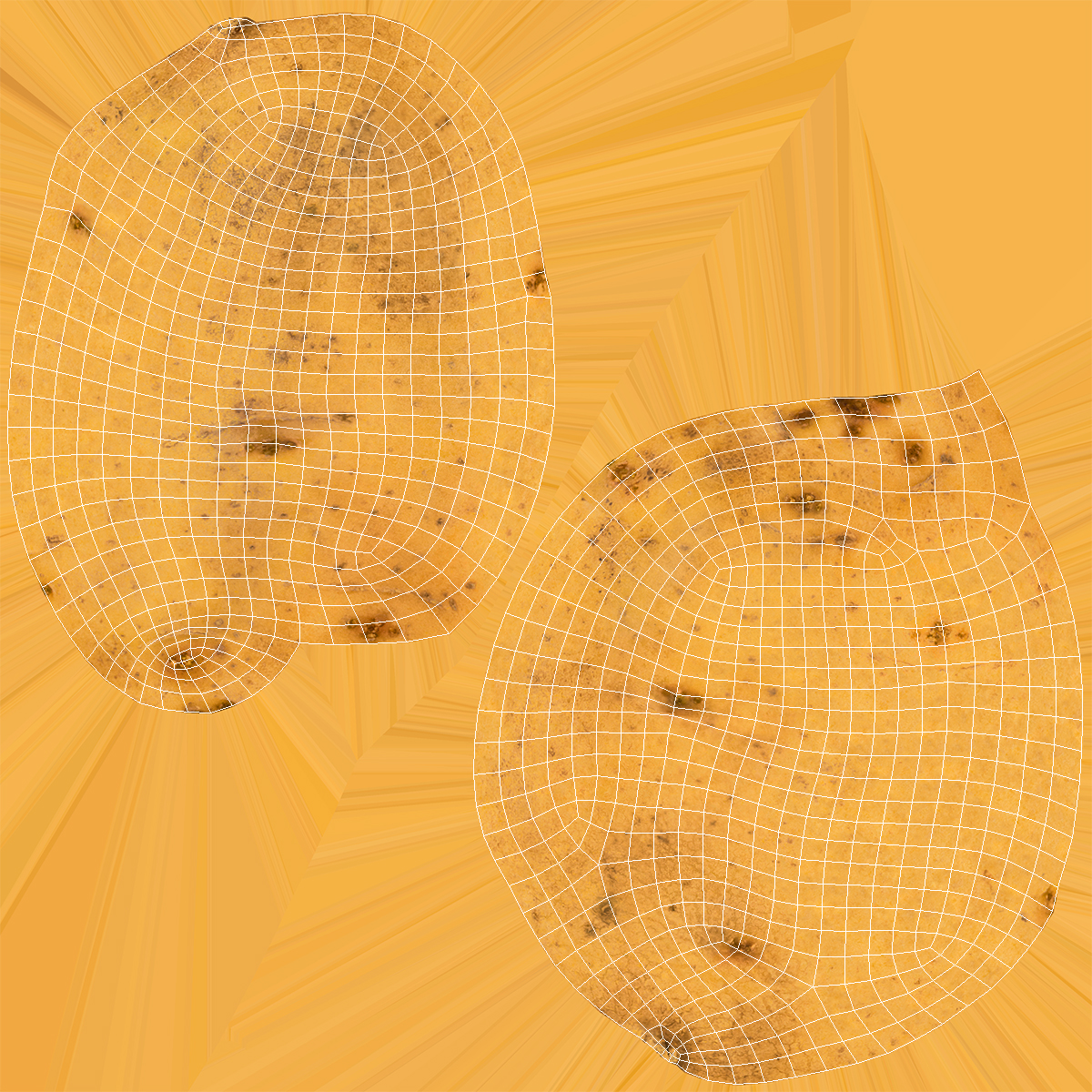 3D model Raw Potato