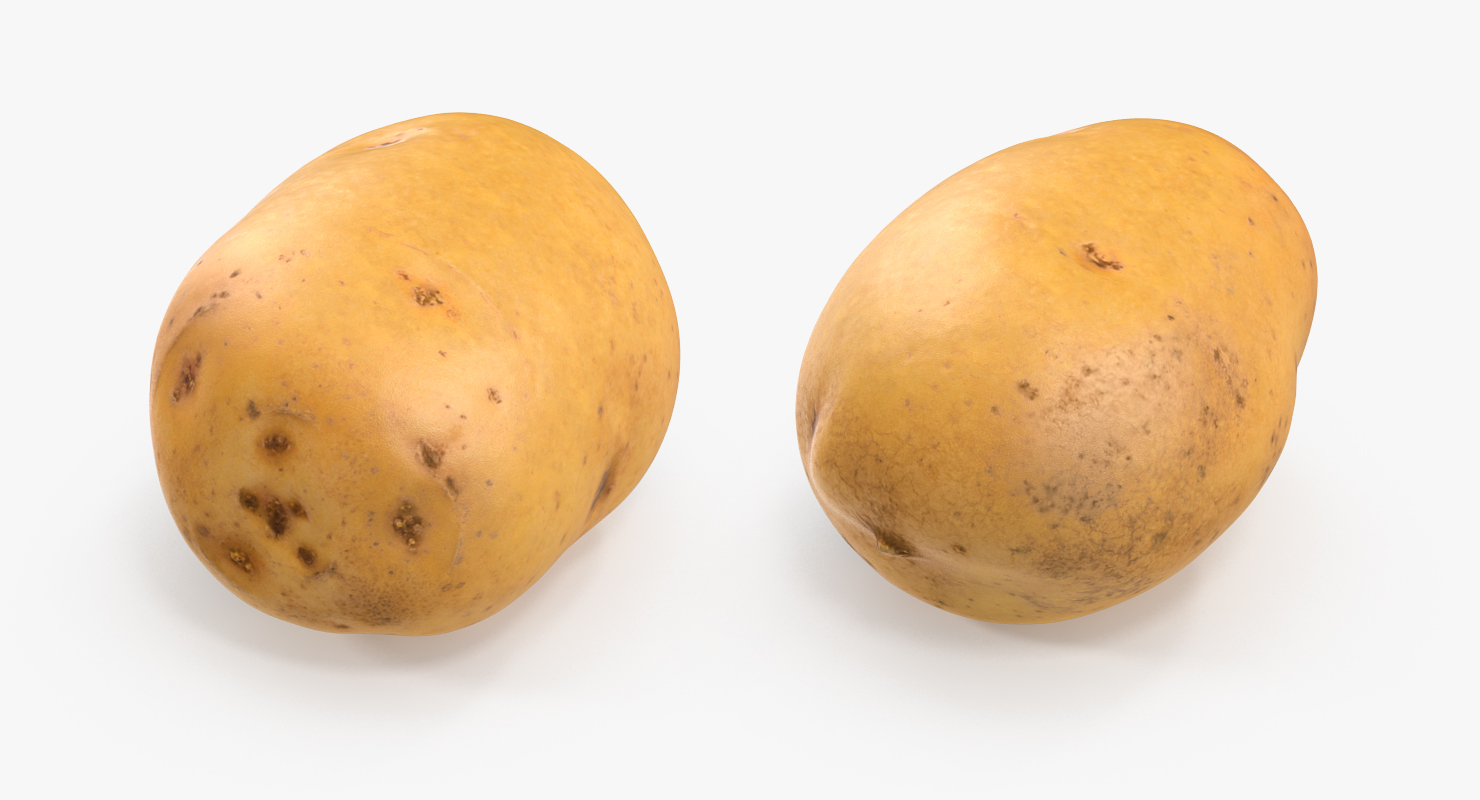 3D model Raw Potato