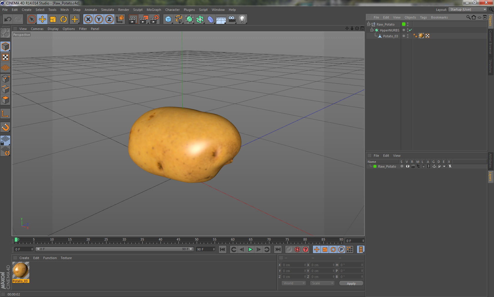 3D model Raw Potato