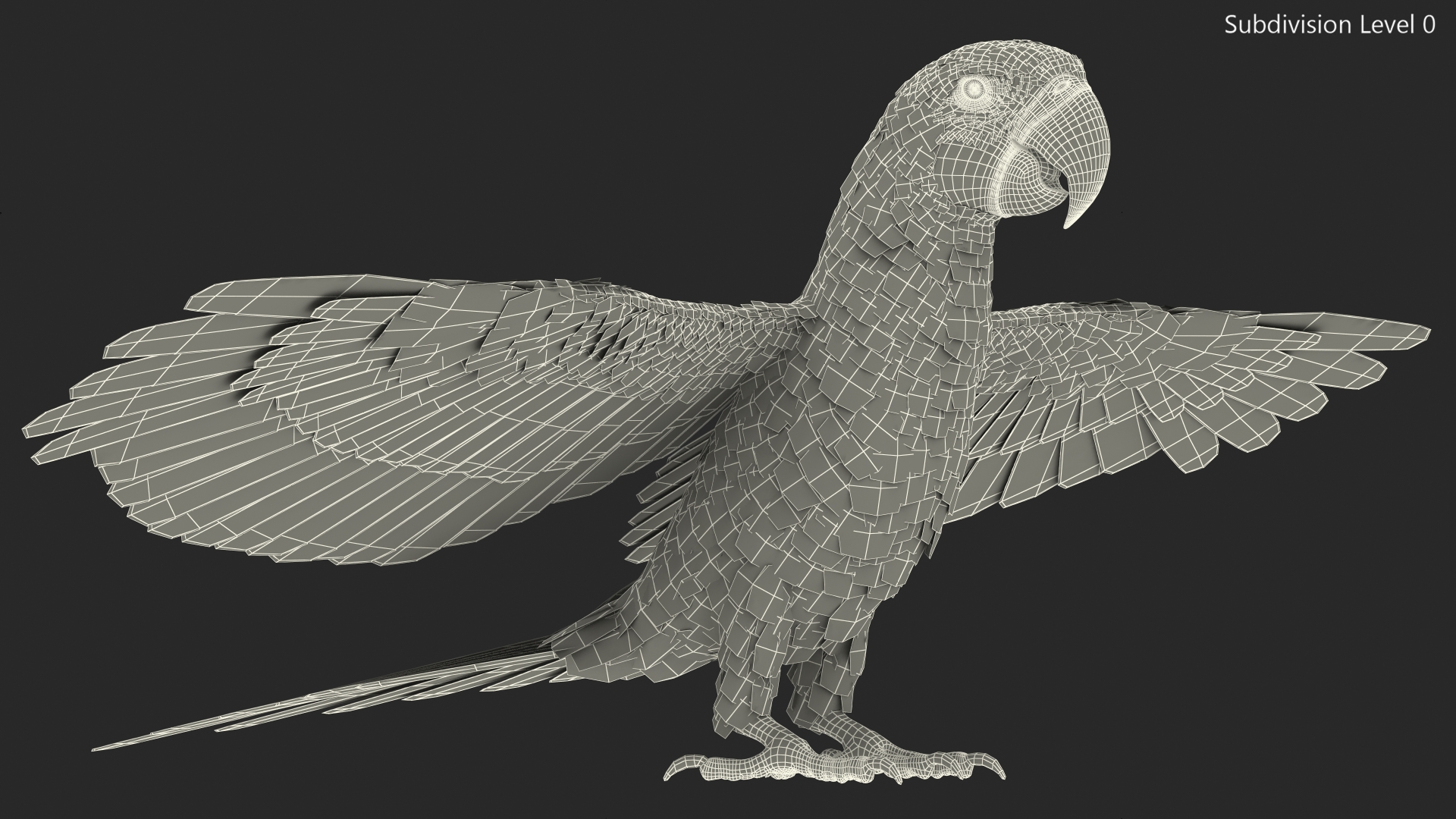 Red and Green Macaw Parrot Neutral Pose 3D model
