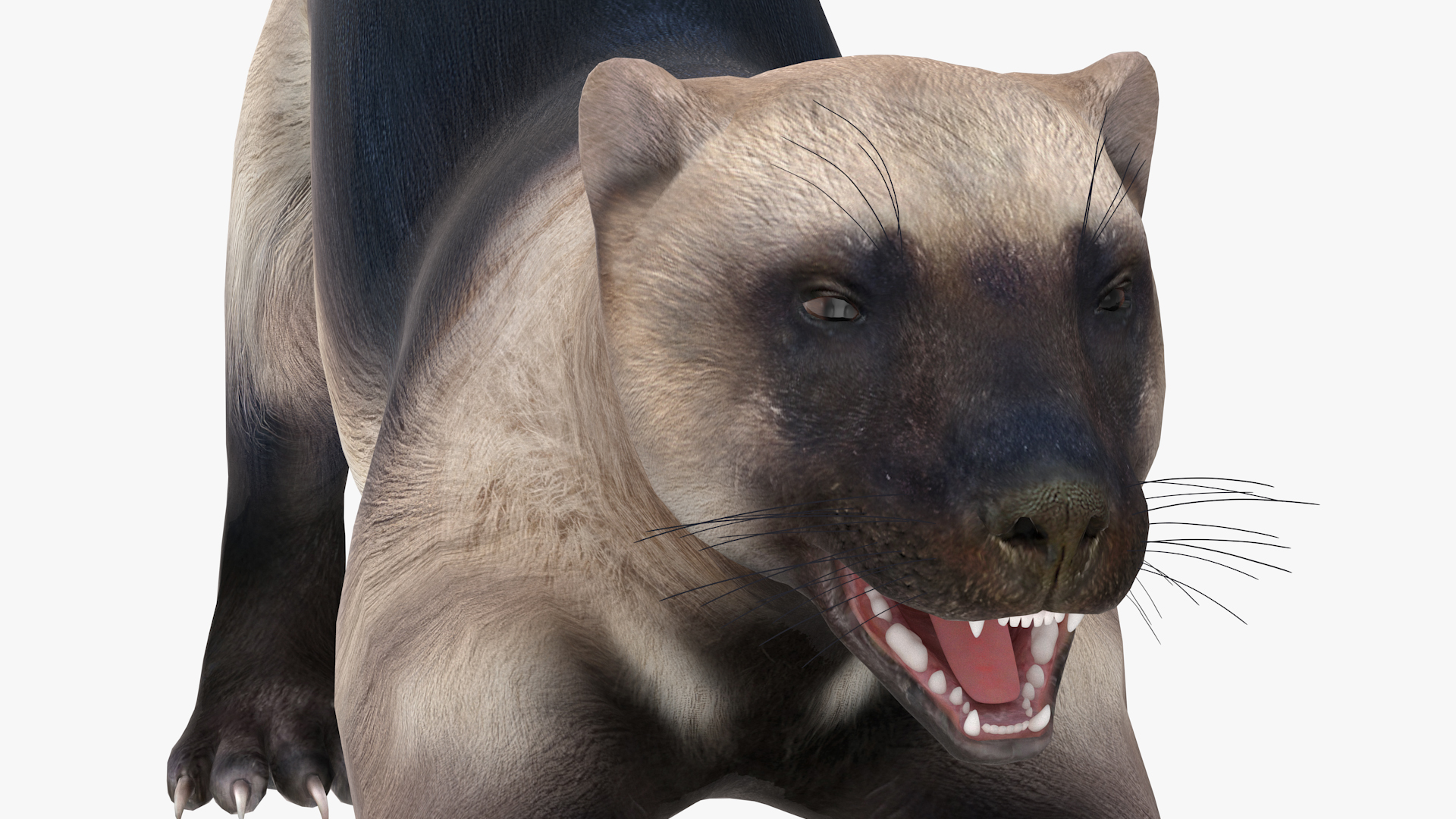 3D model Wolverine Prepares Attack Pose