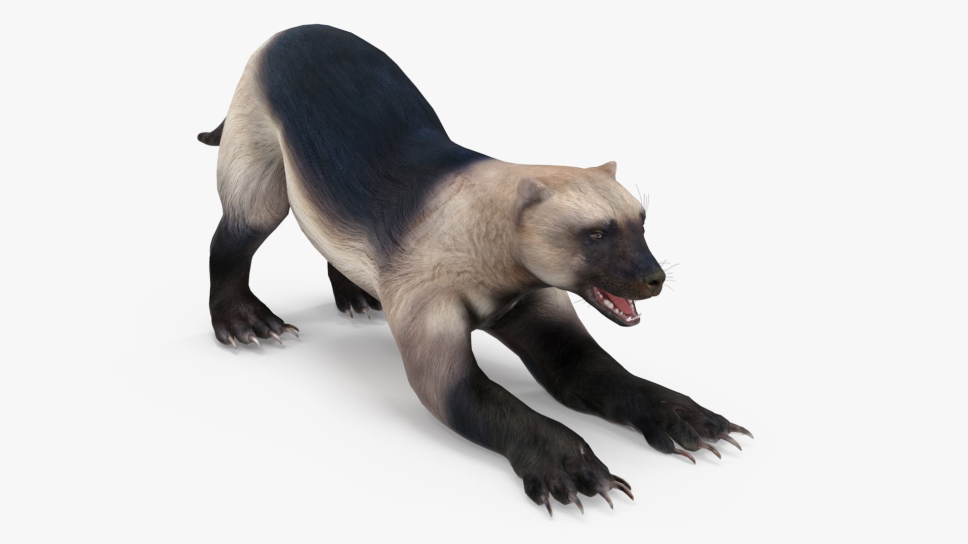 3D model Wolverine Prepares Attack Pose
