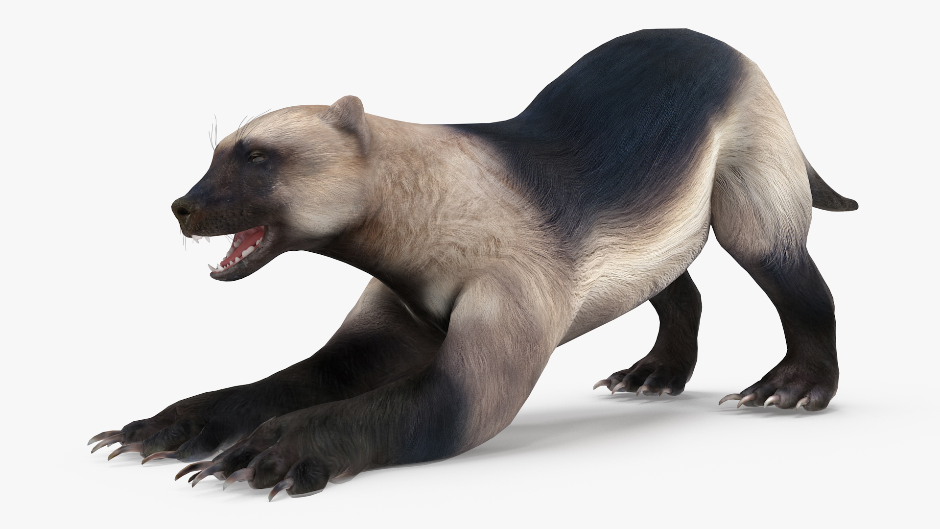 3D model Wolverine Prepares Attack Pose