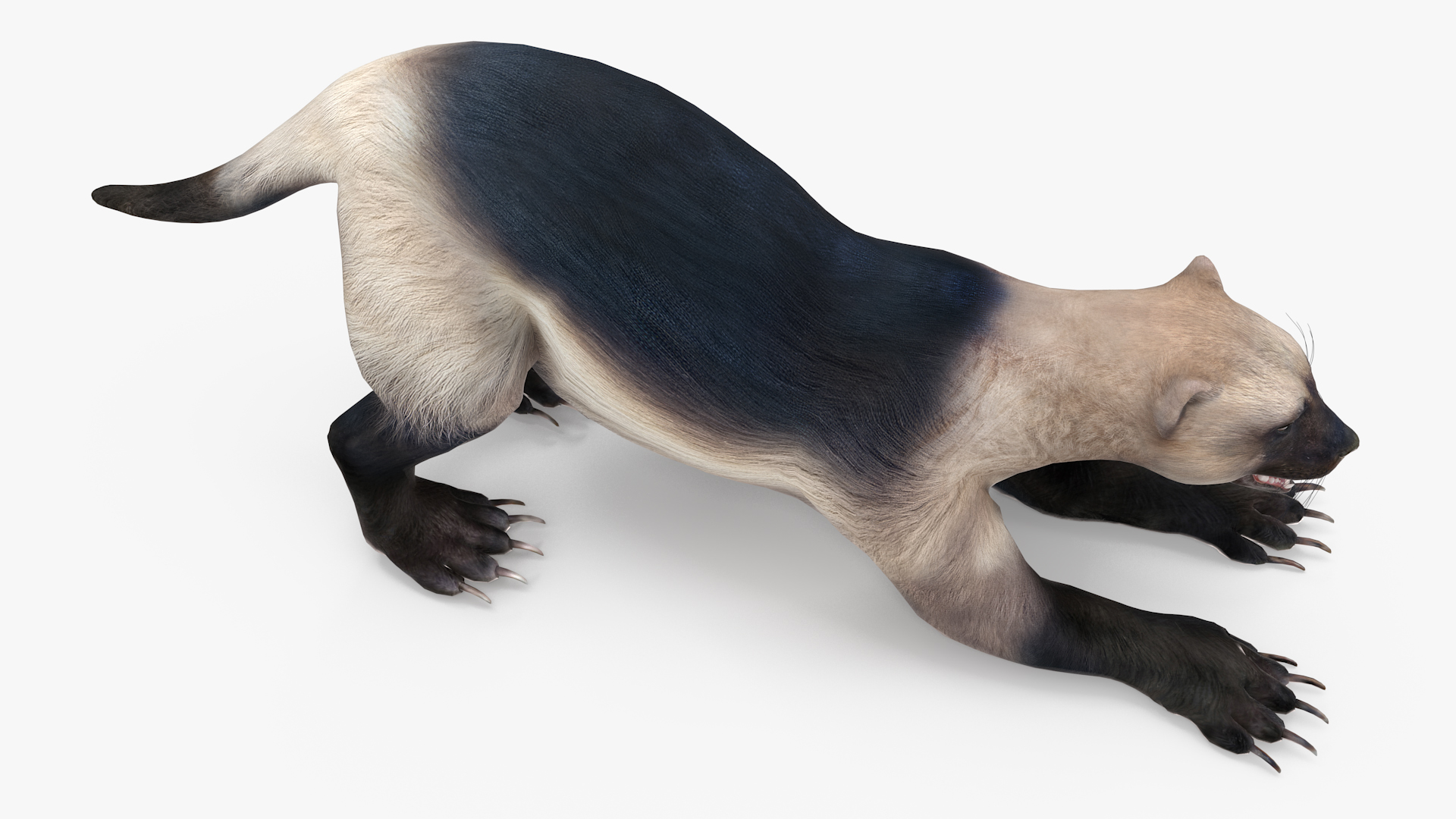 3D model Wolverine Prepares Attack Pose