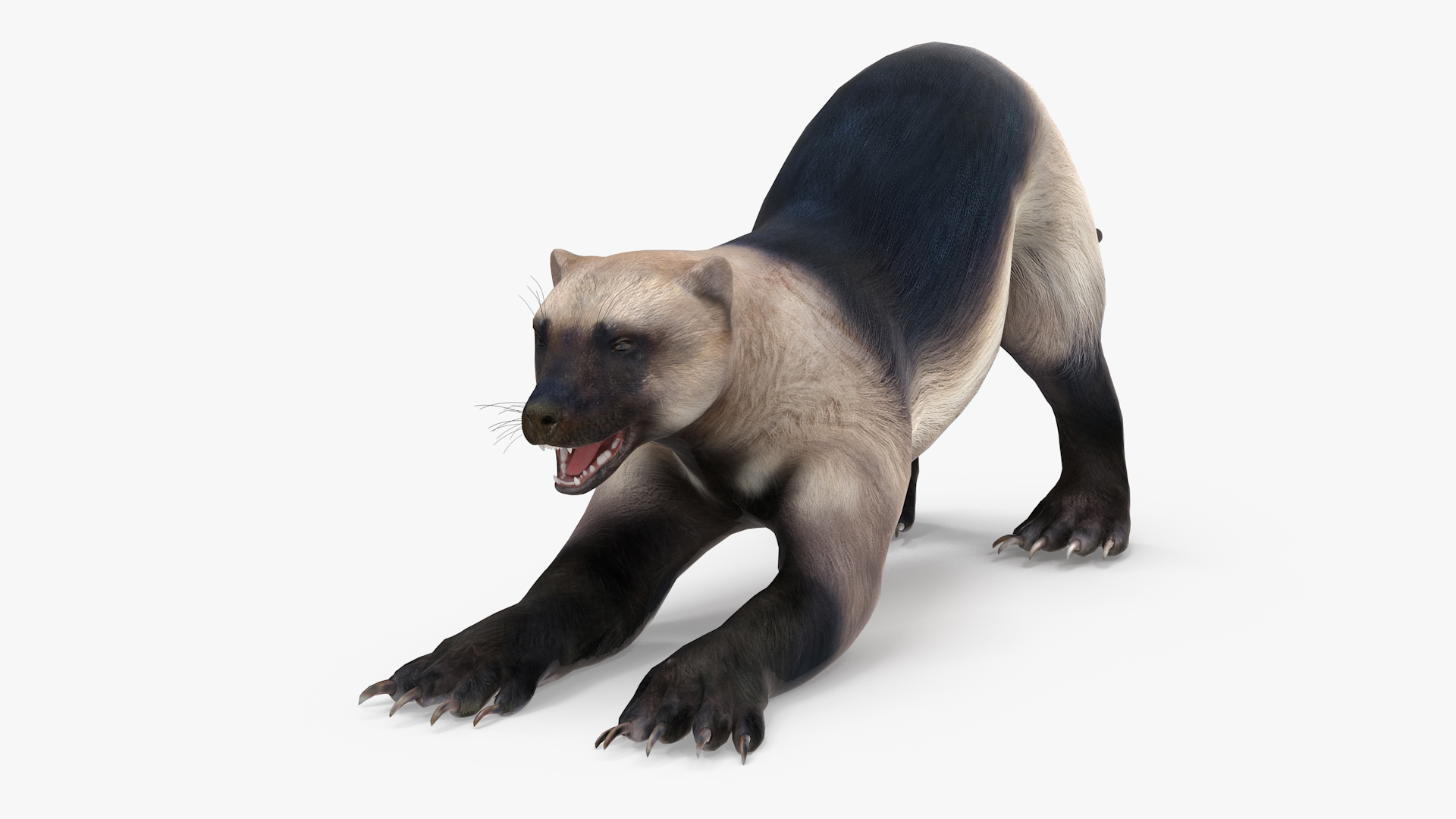 3D model Wolverine Prepares Attack Pose