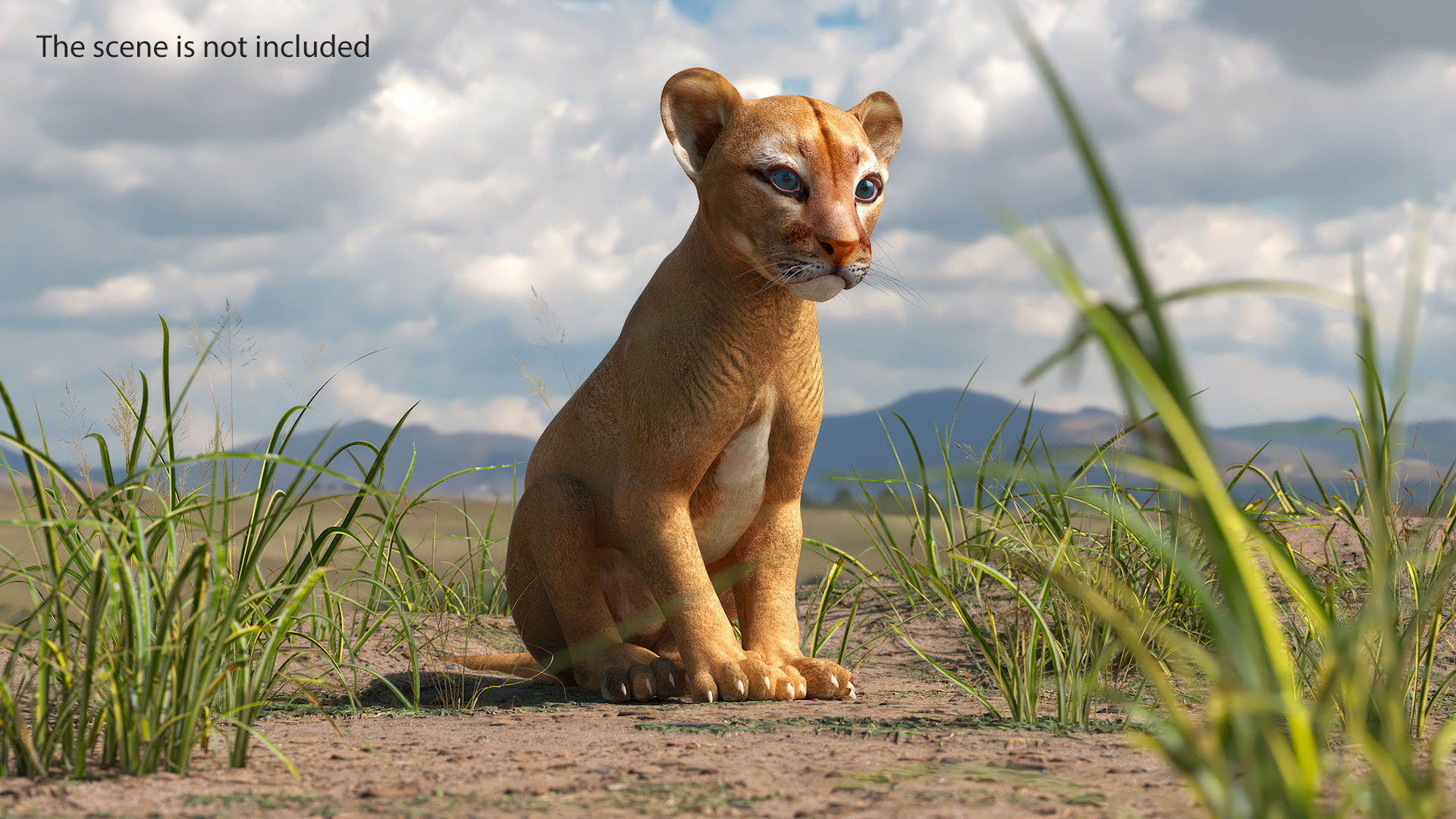 3D Puma Cub Sitting Pose