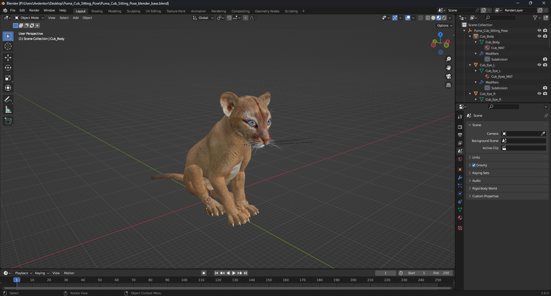 3D Puma Cub Sitting Pose