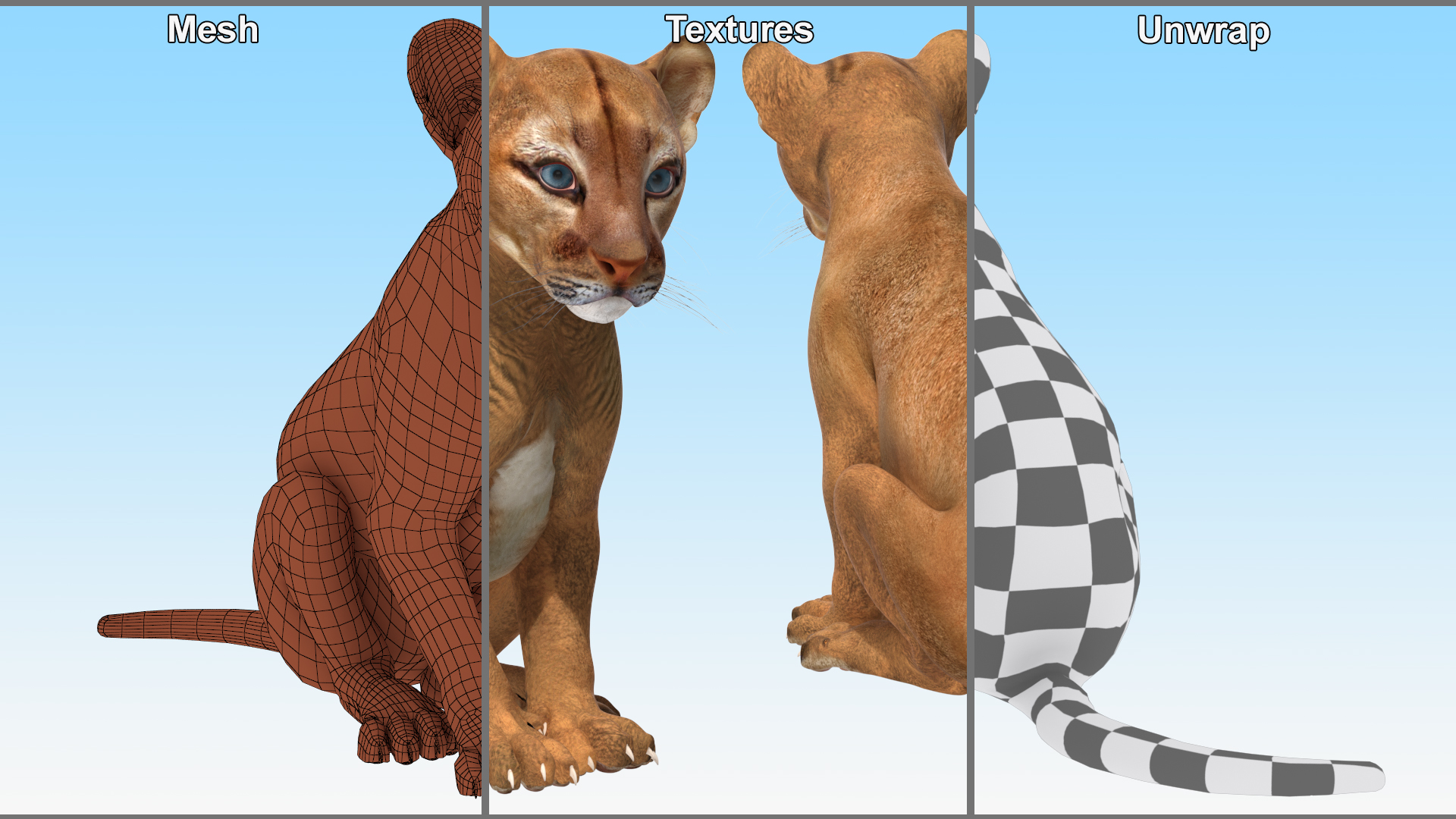 3D Puma Cub Sitting Pose