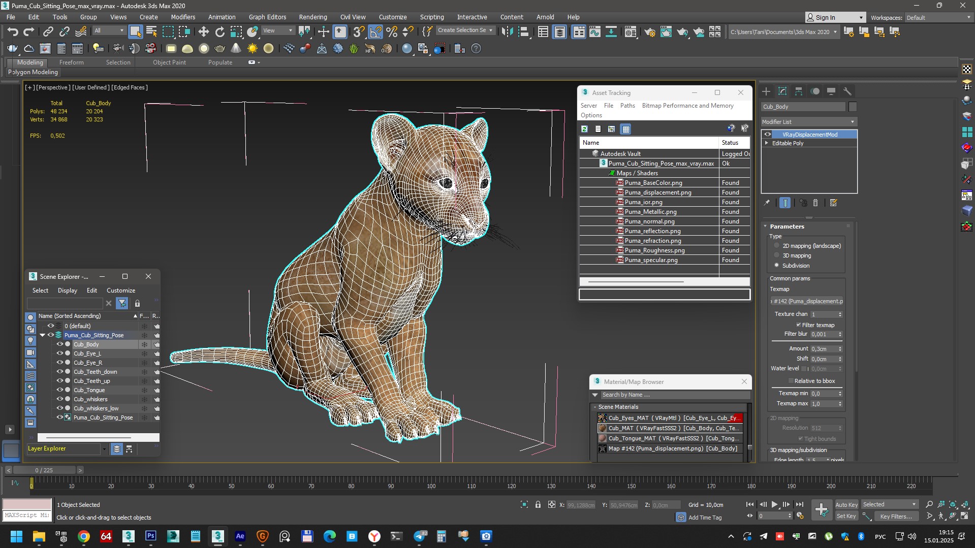 3D Puma Cub Sitting Pose