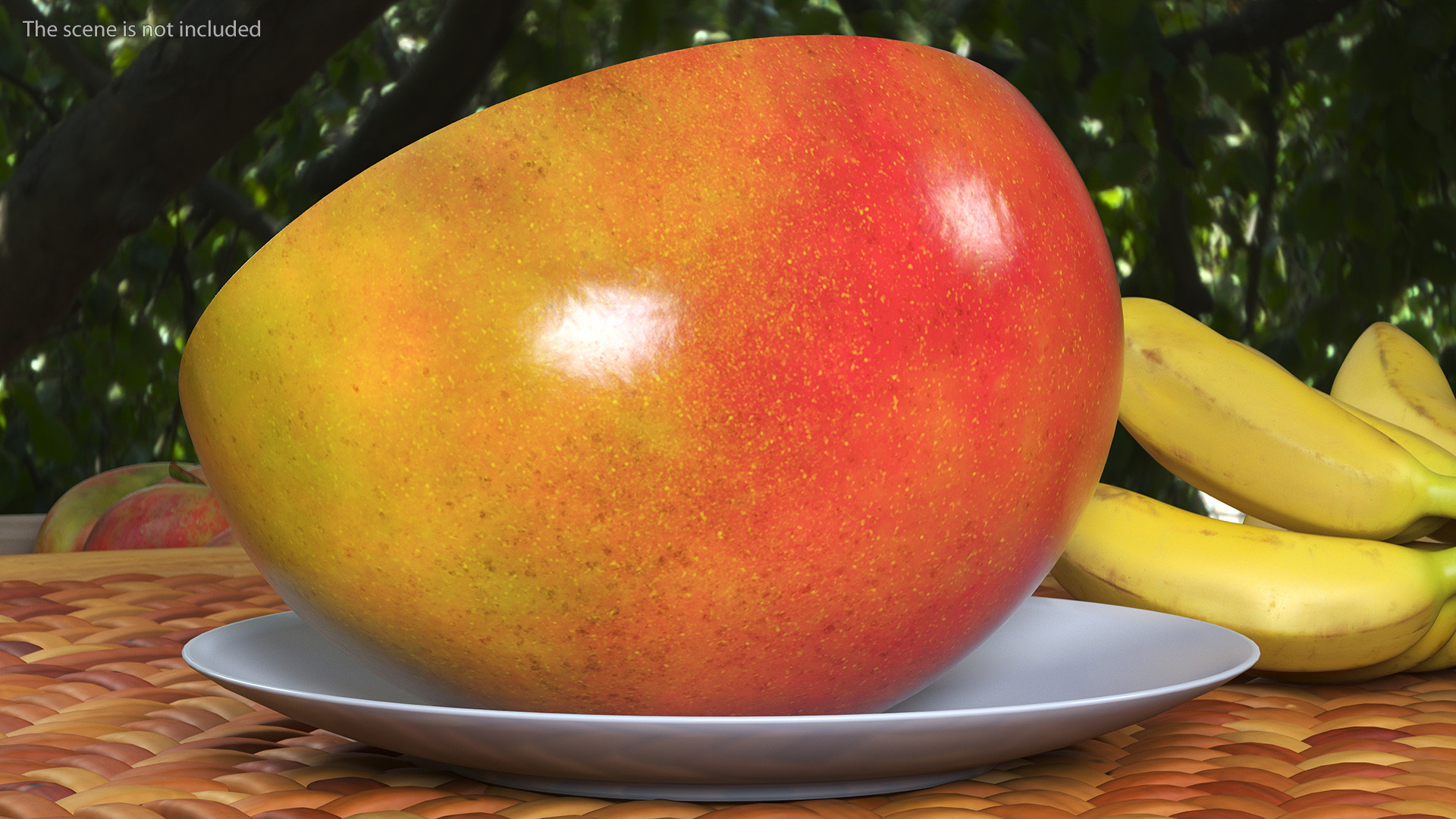 3D model Mango Fruit Half Red