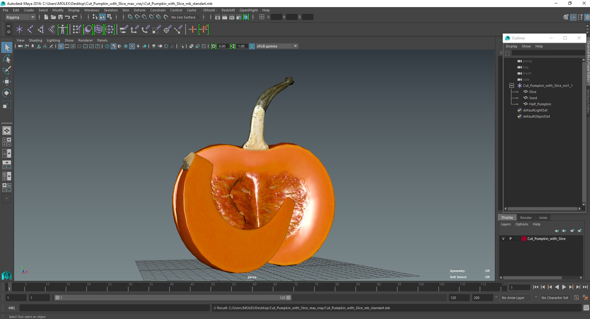 Cut Pumpkin with Slice 3D