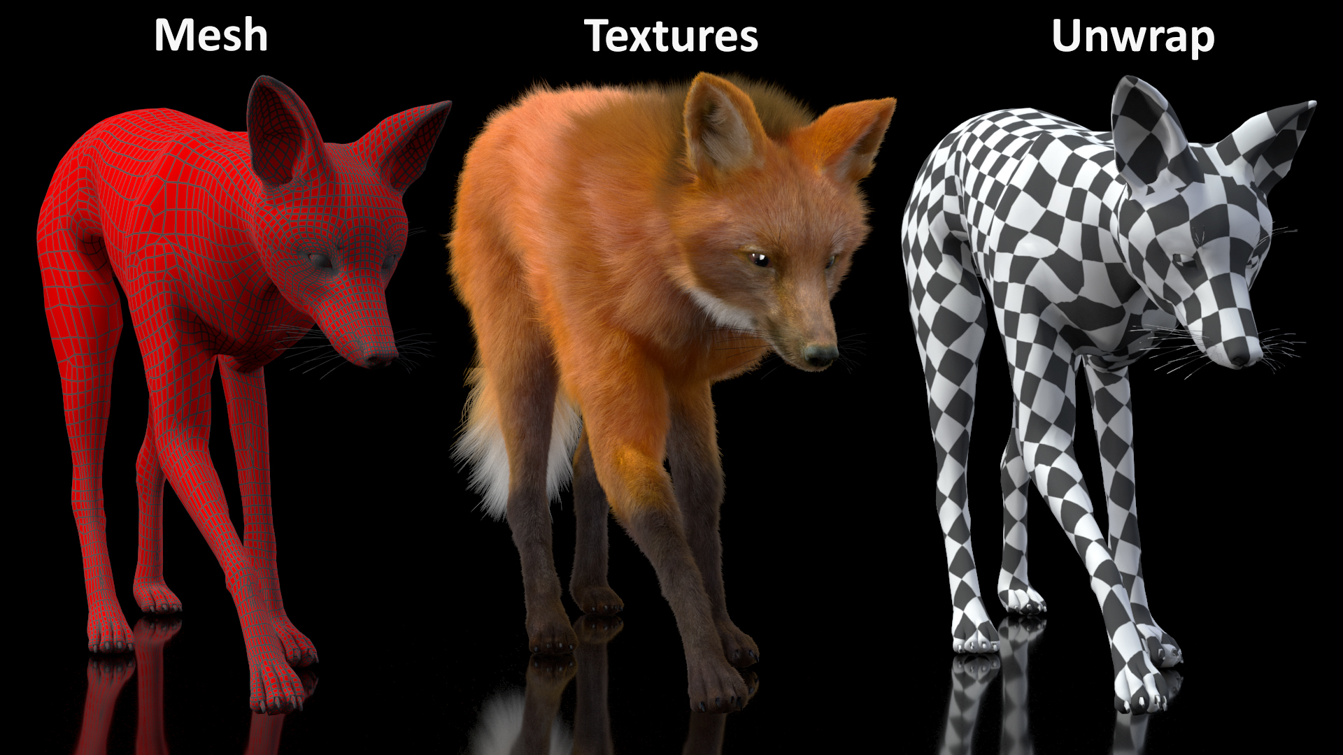 Maned Wolf Walking Pose Fur 3D