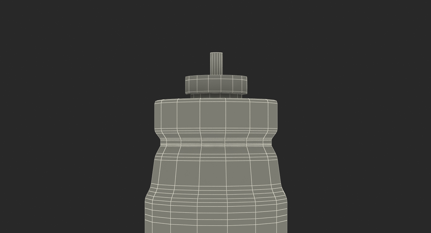 Asthma Inhaler 3D model