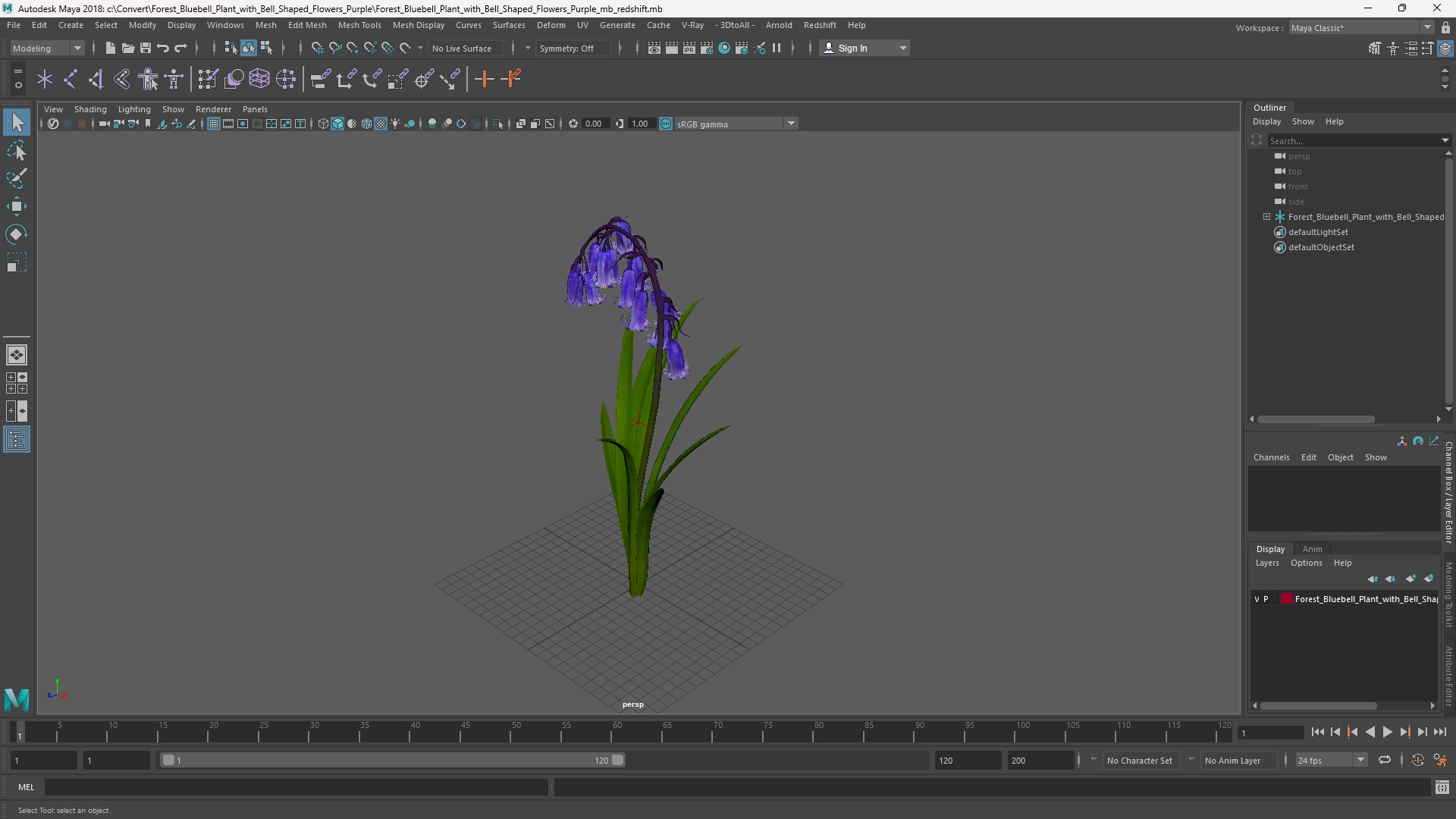 Forest Bluebell Plant with Bell Shaped Flowers Purple - view 11