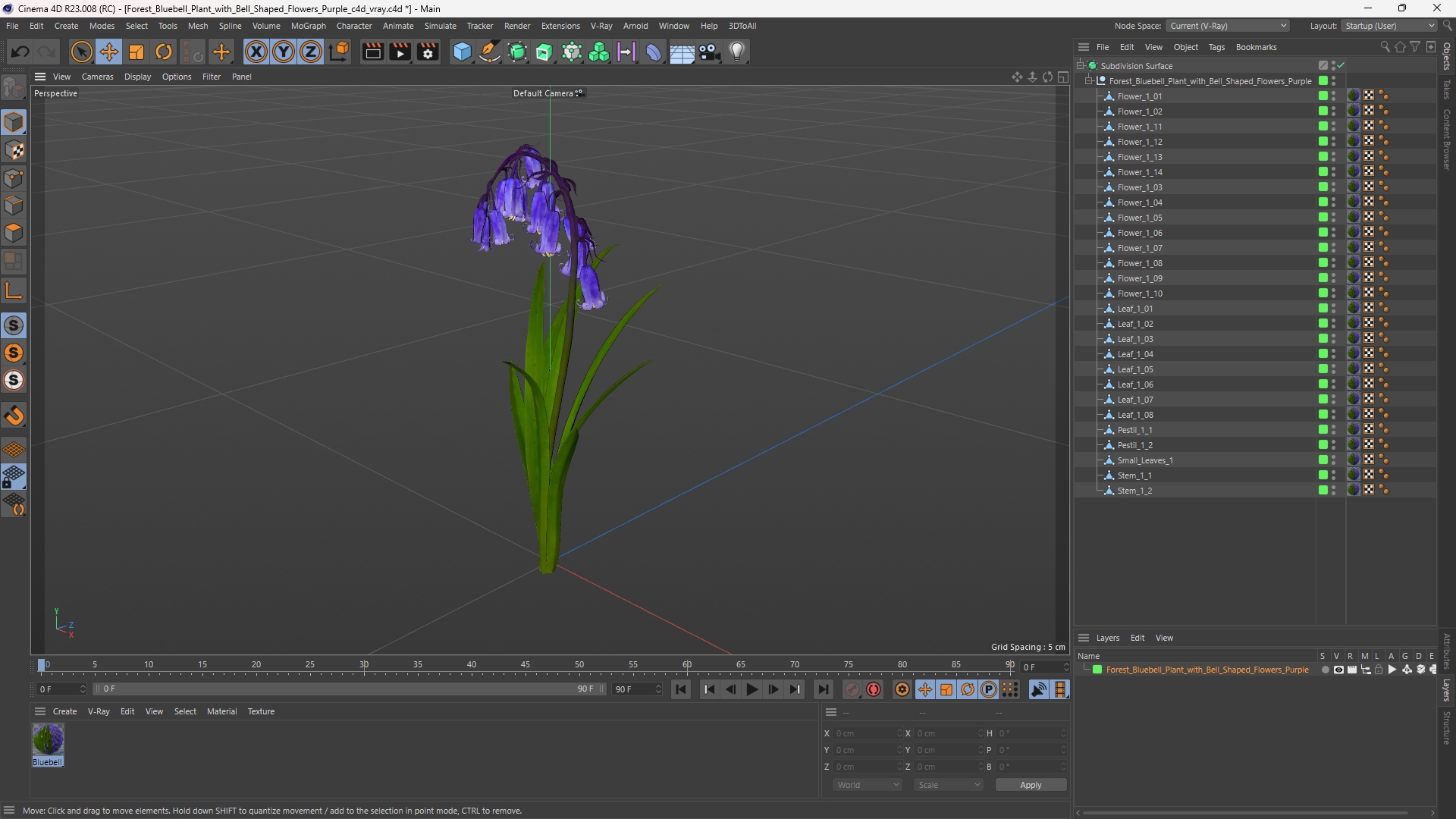 Forest Bluebell Plant with Bell Shaped Flowers Purple - view 12