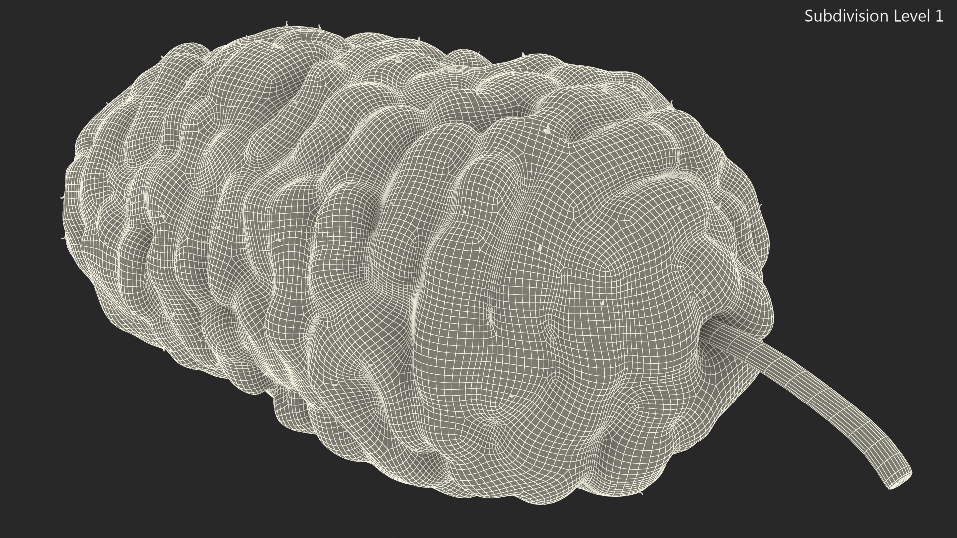 3D model Mulberry Fruit Black