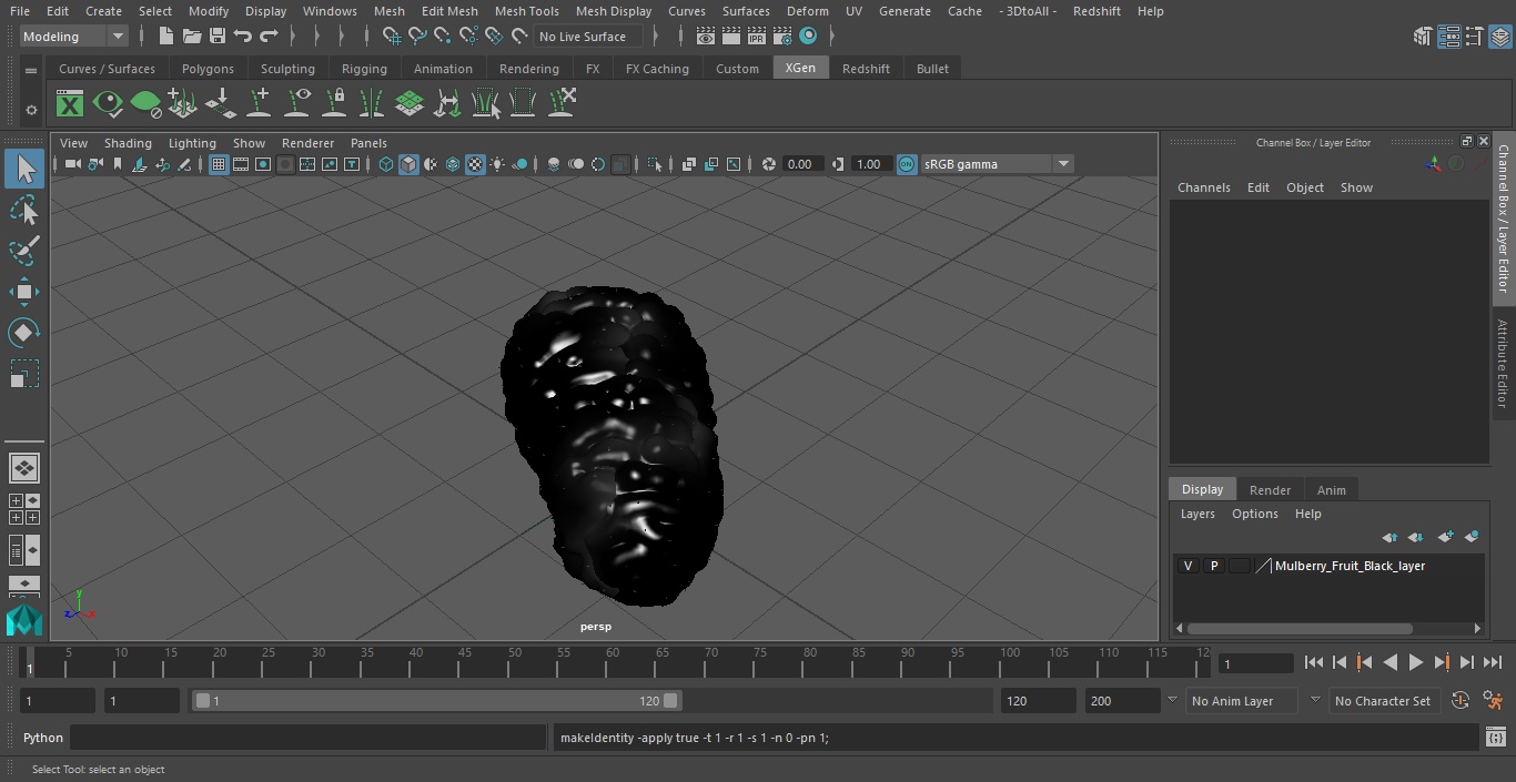3D model Mulberry Fruit Black