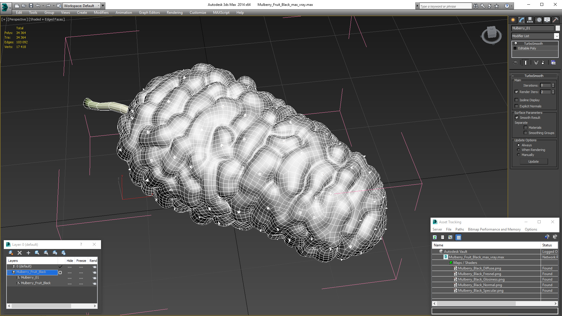 3D model Mulberry Fruit Black
