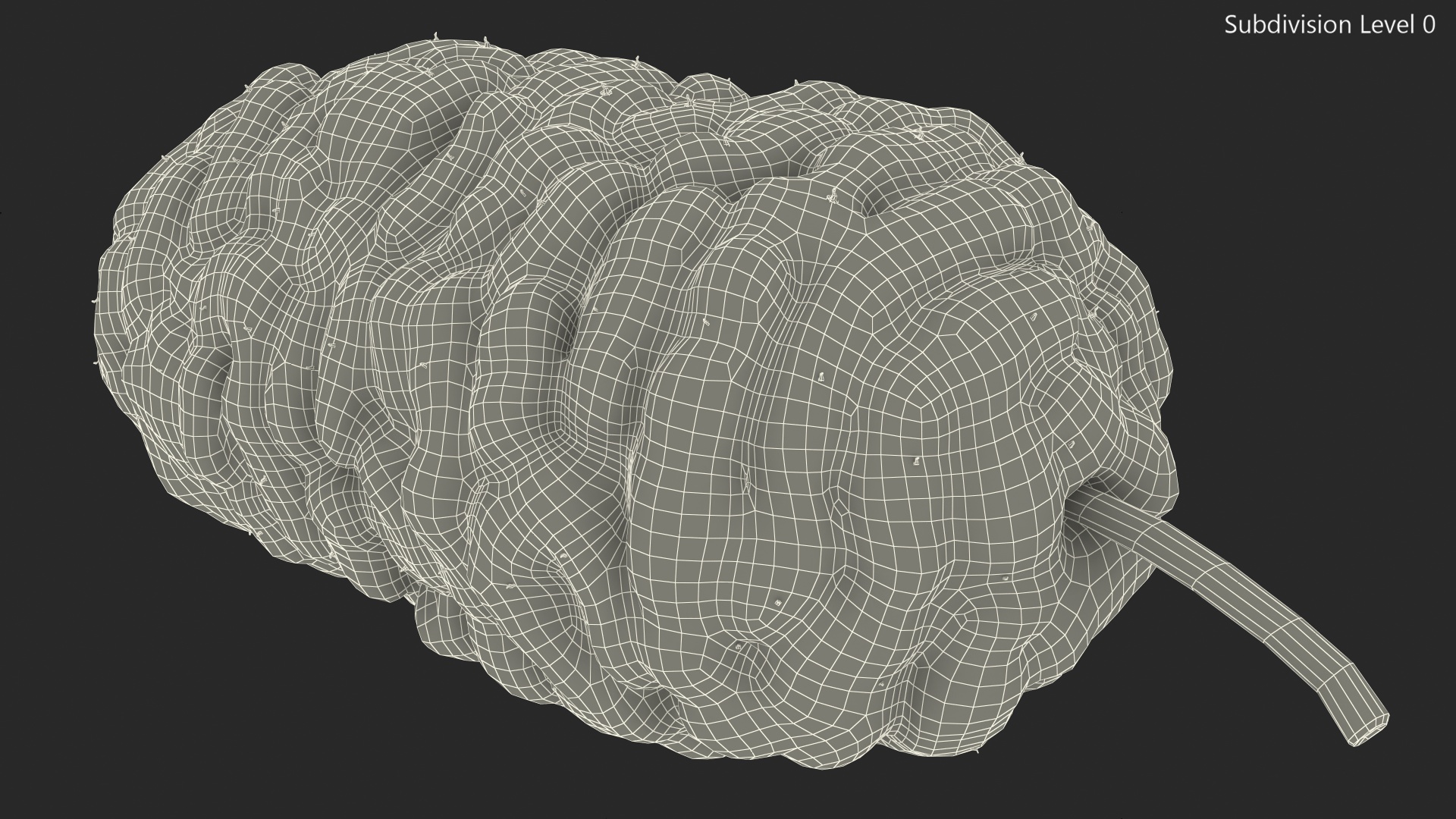 3D model Mulberry Fruit Black