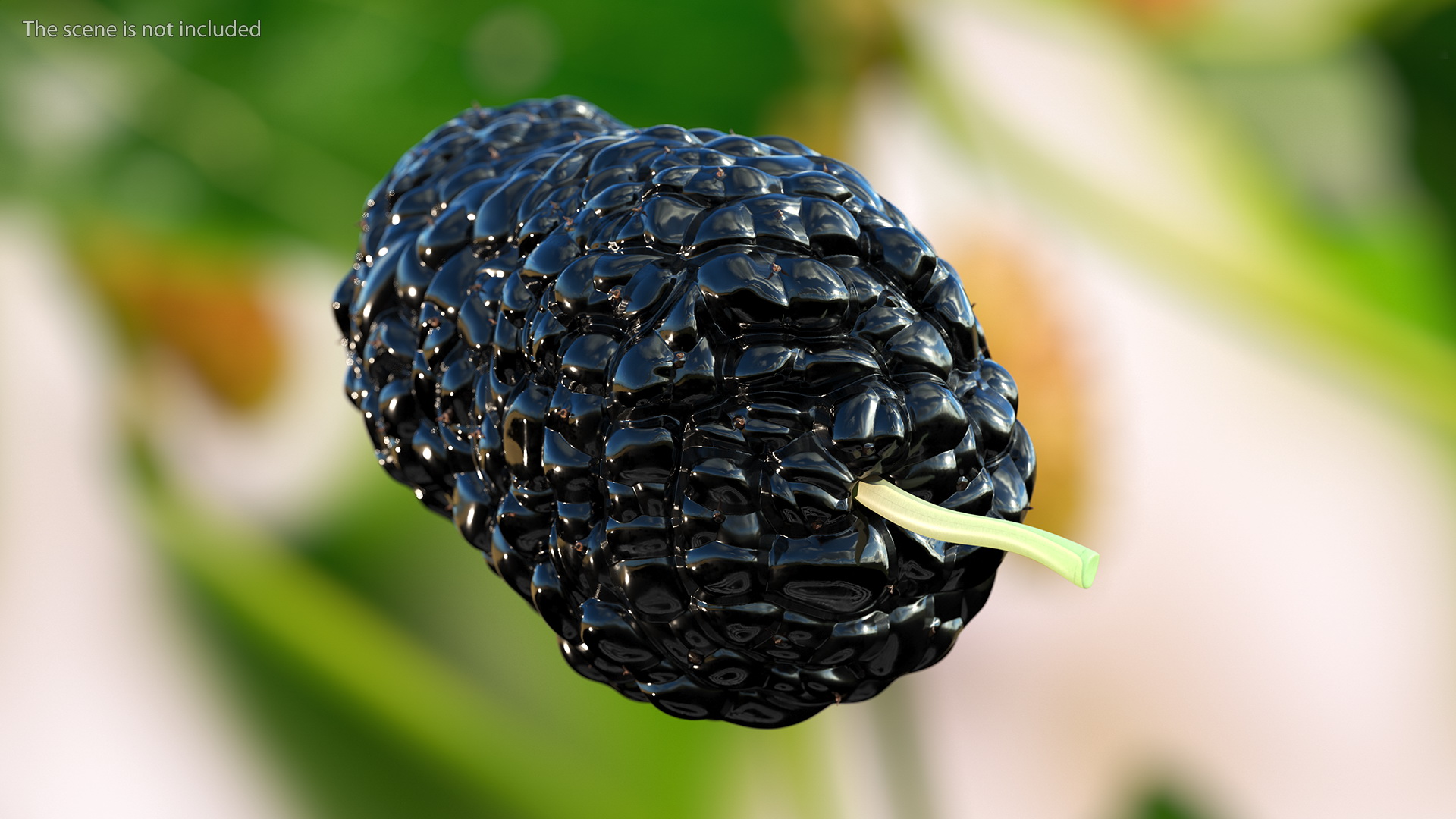 3D model Mulberry Fruit Black