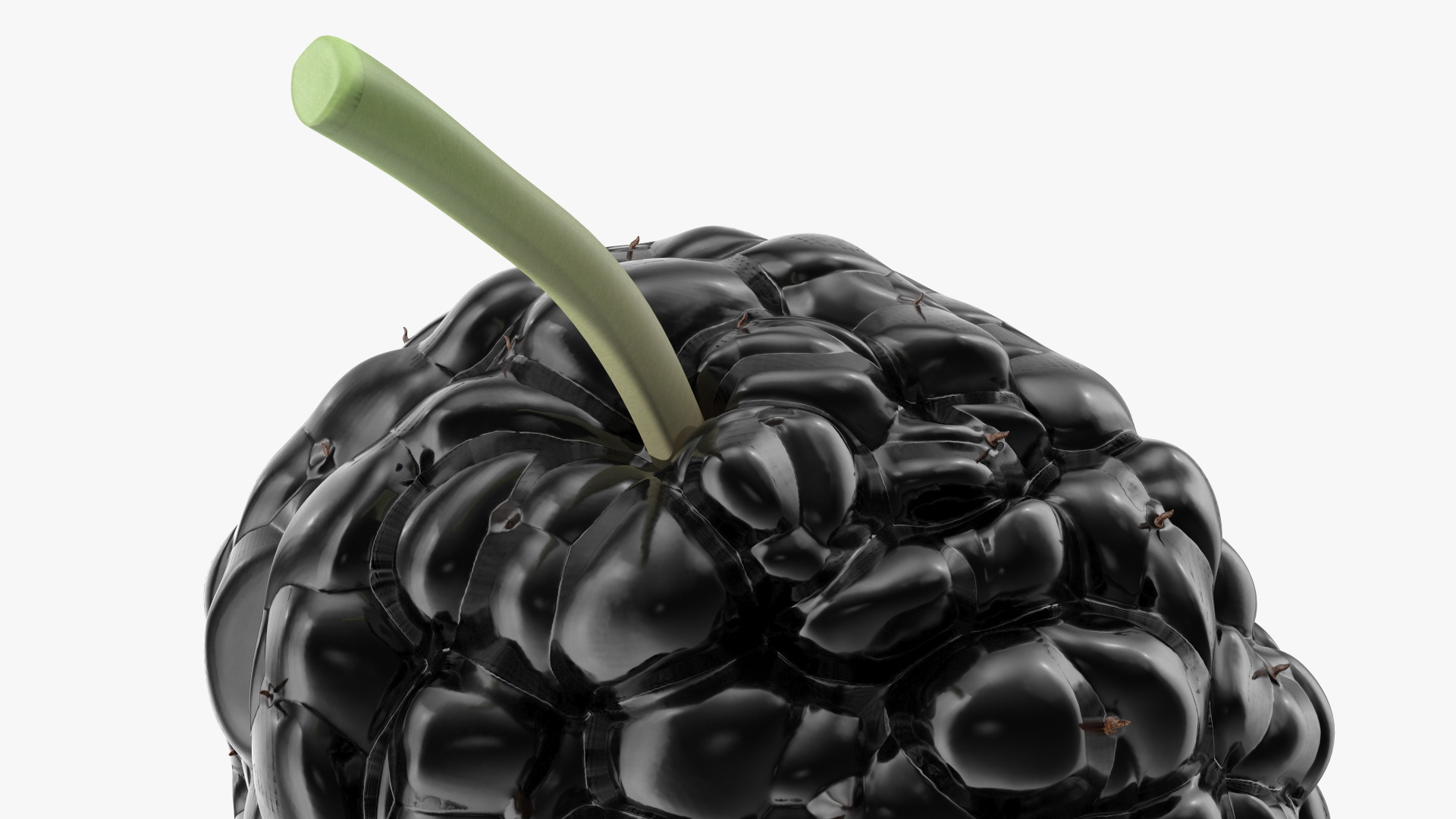 3D model Mulberry Fruit Black