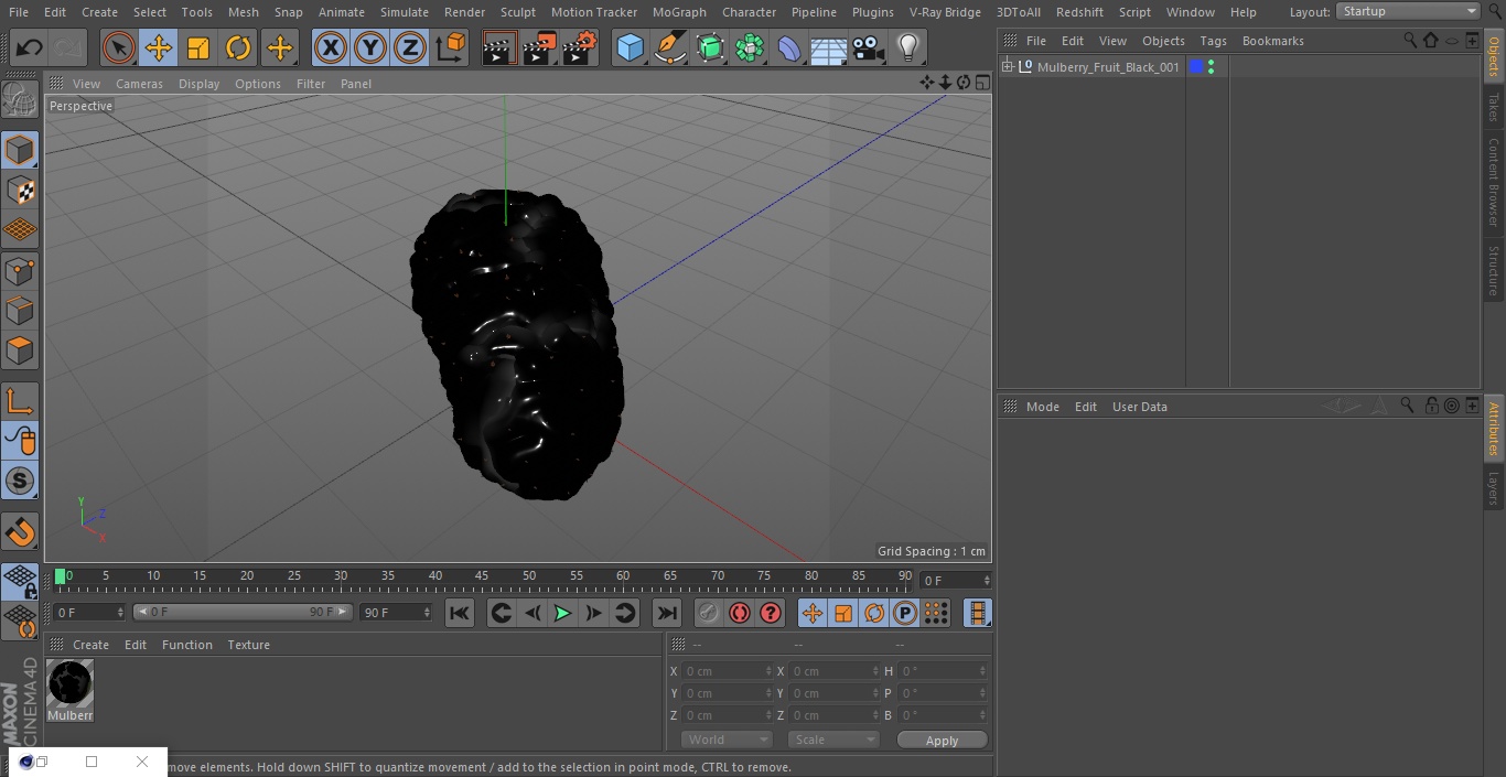 3D model Mulberry Fruit Black
