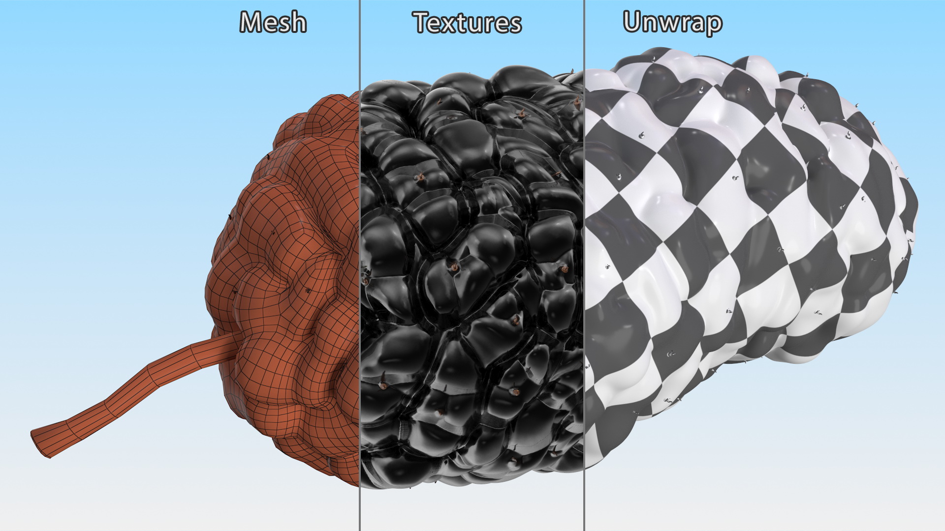 3D model Mulberry Fruit Black