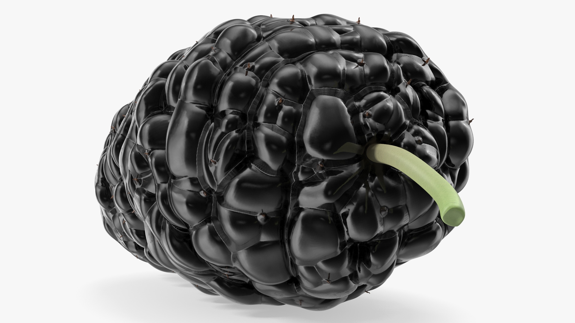 3D model Mulberry Fruit Black