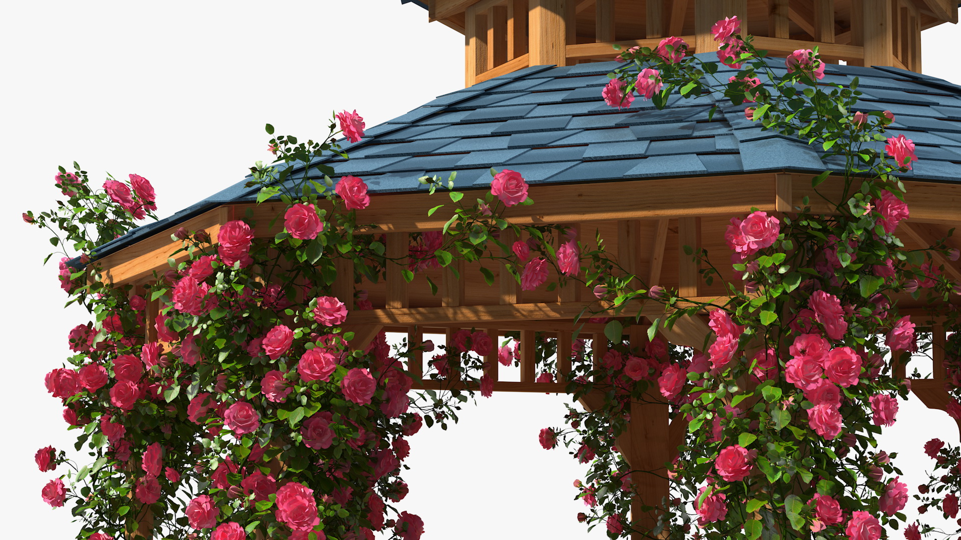 Gazebo Covered with Pink Rose 3D model