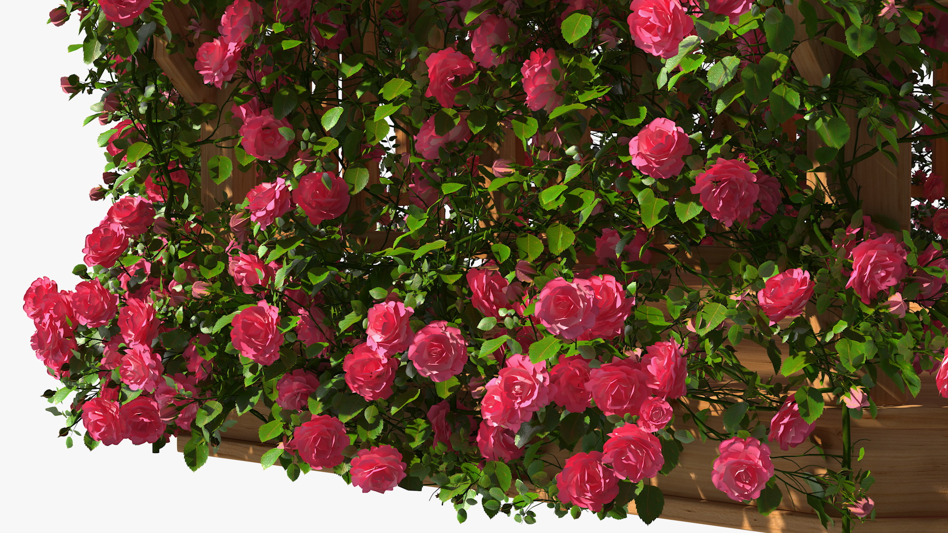 Gazebo Covered with Pink Rose 3D model